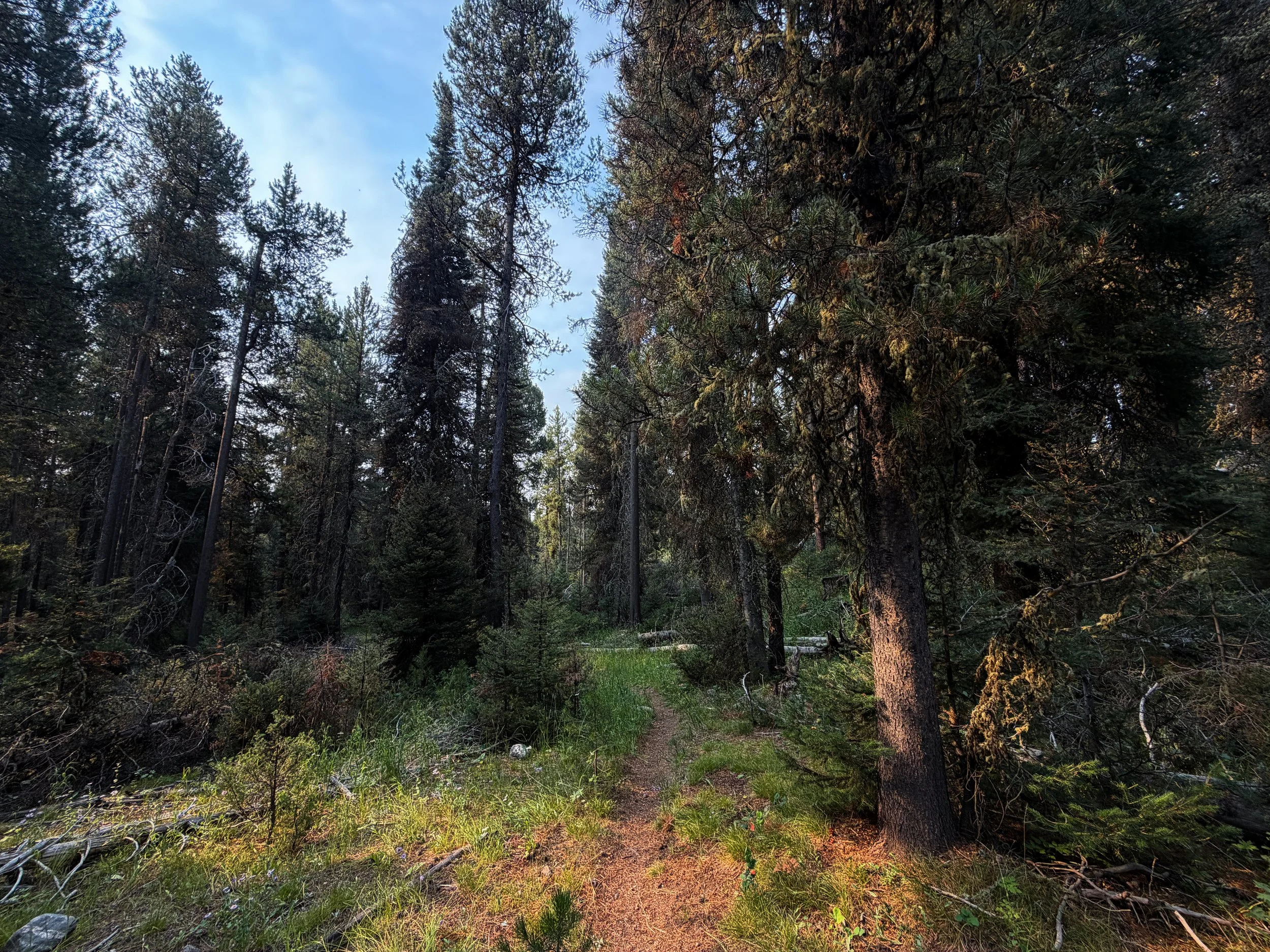 Boulder Aspen Ridge Loop Trail Grand Teton National Park Wyoming
