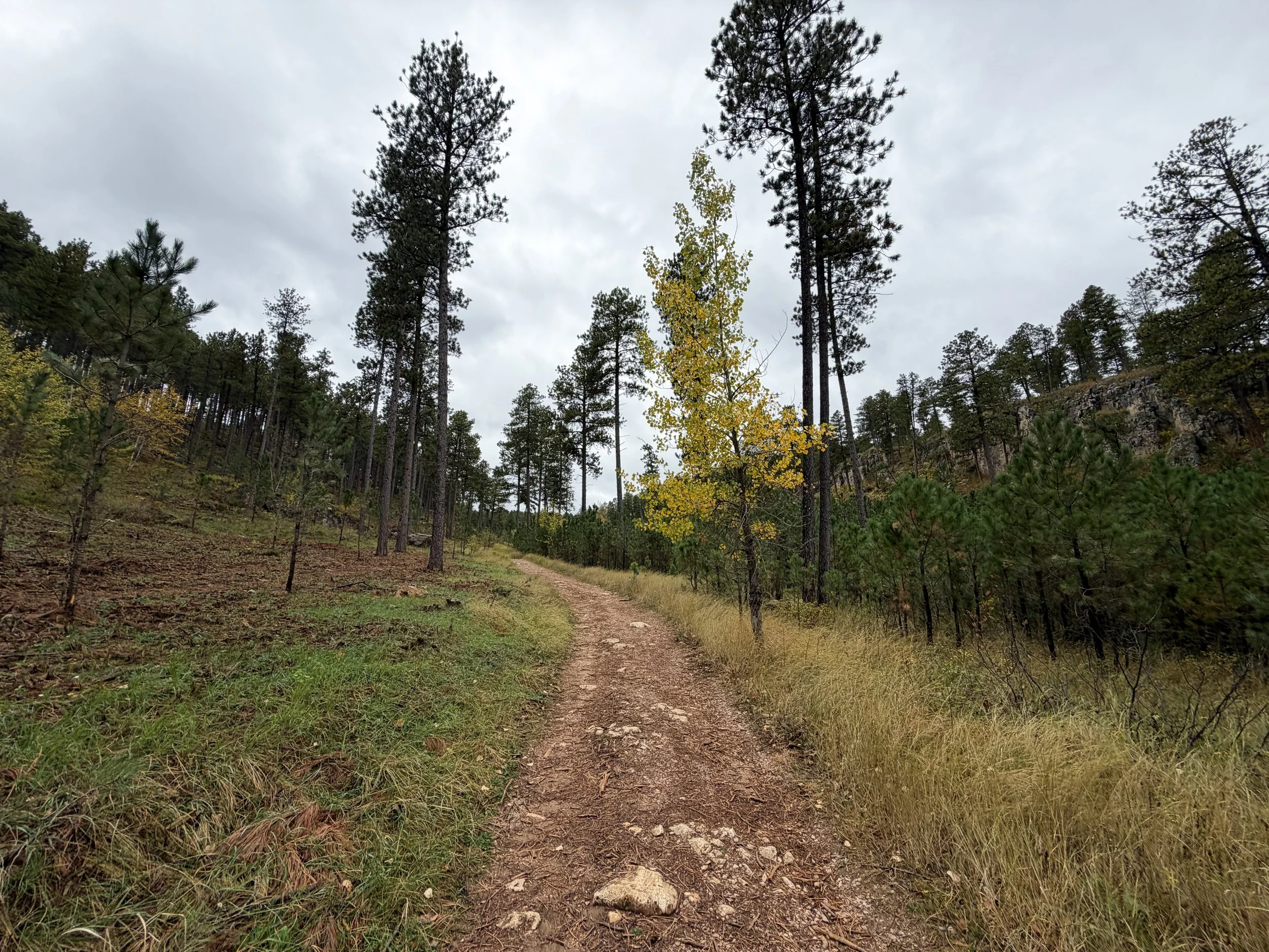Buzzards Roost Trail Black Hills South Dakota