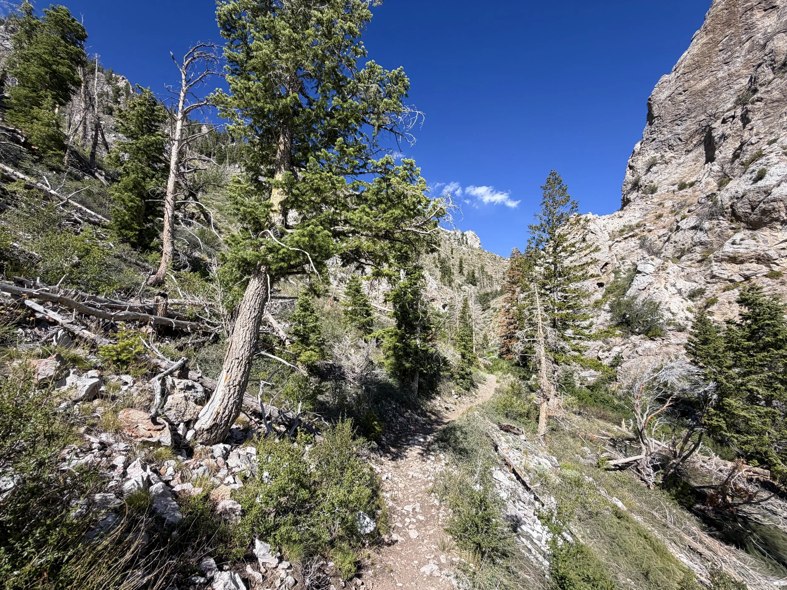 Lexington Arch Trail Great Basin National Park Nevada