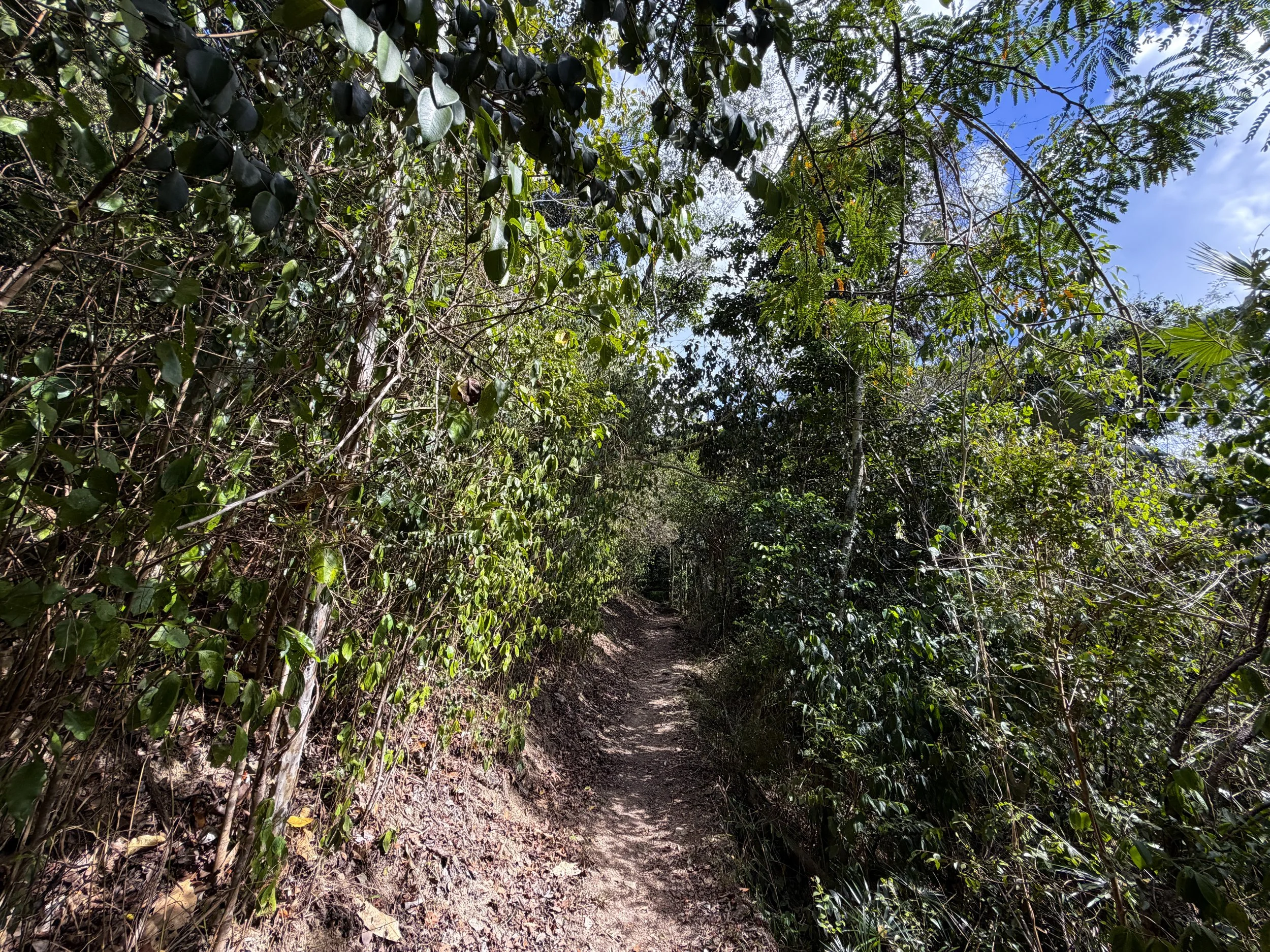 Cinnamon Bay Trail Virgin Islands National Park