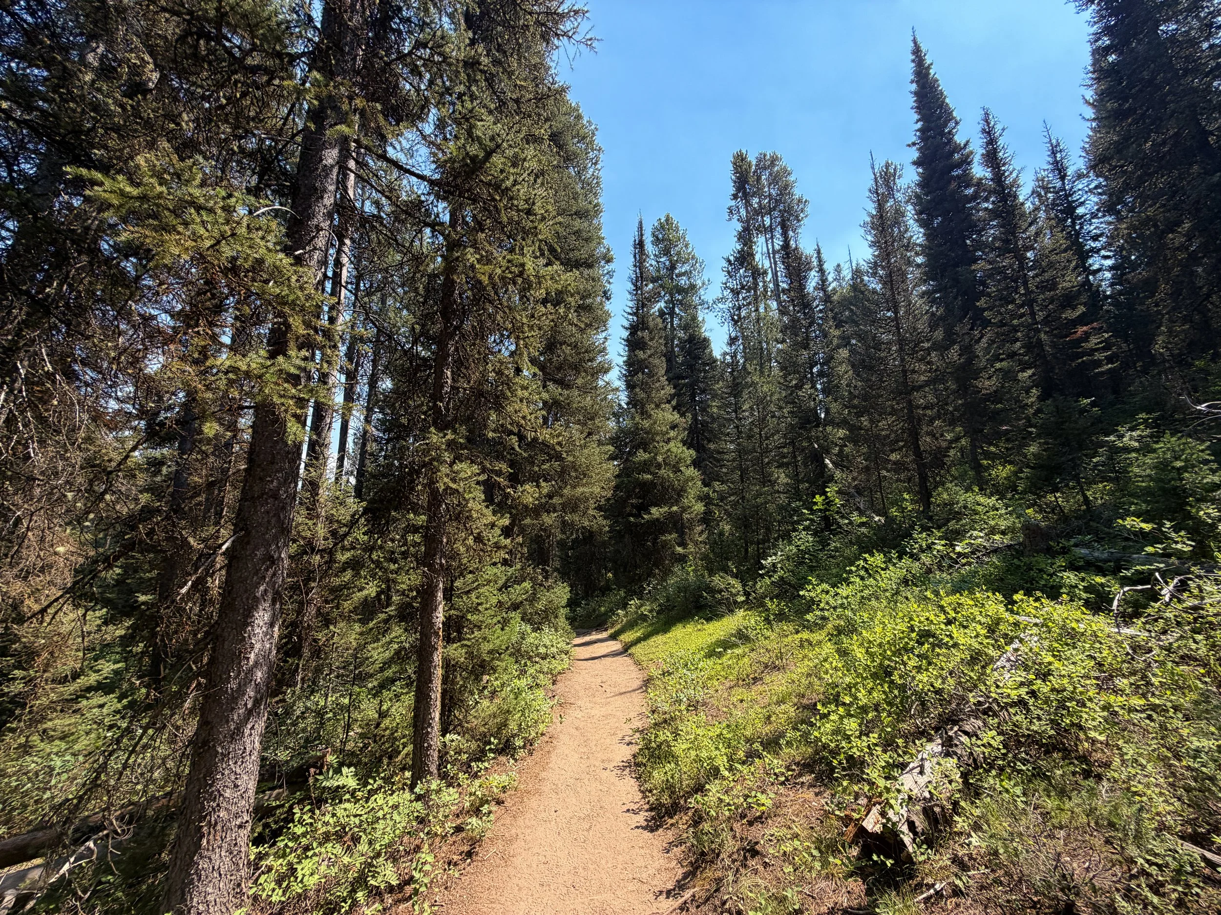 Phelps Lake Loop Trail Grand Teton National Park Wyoming