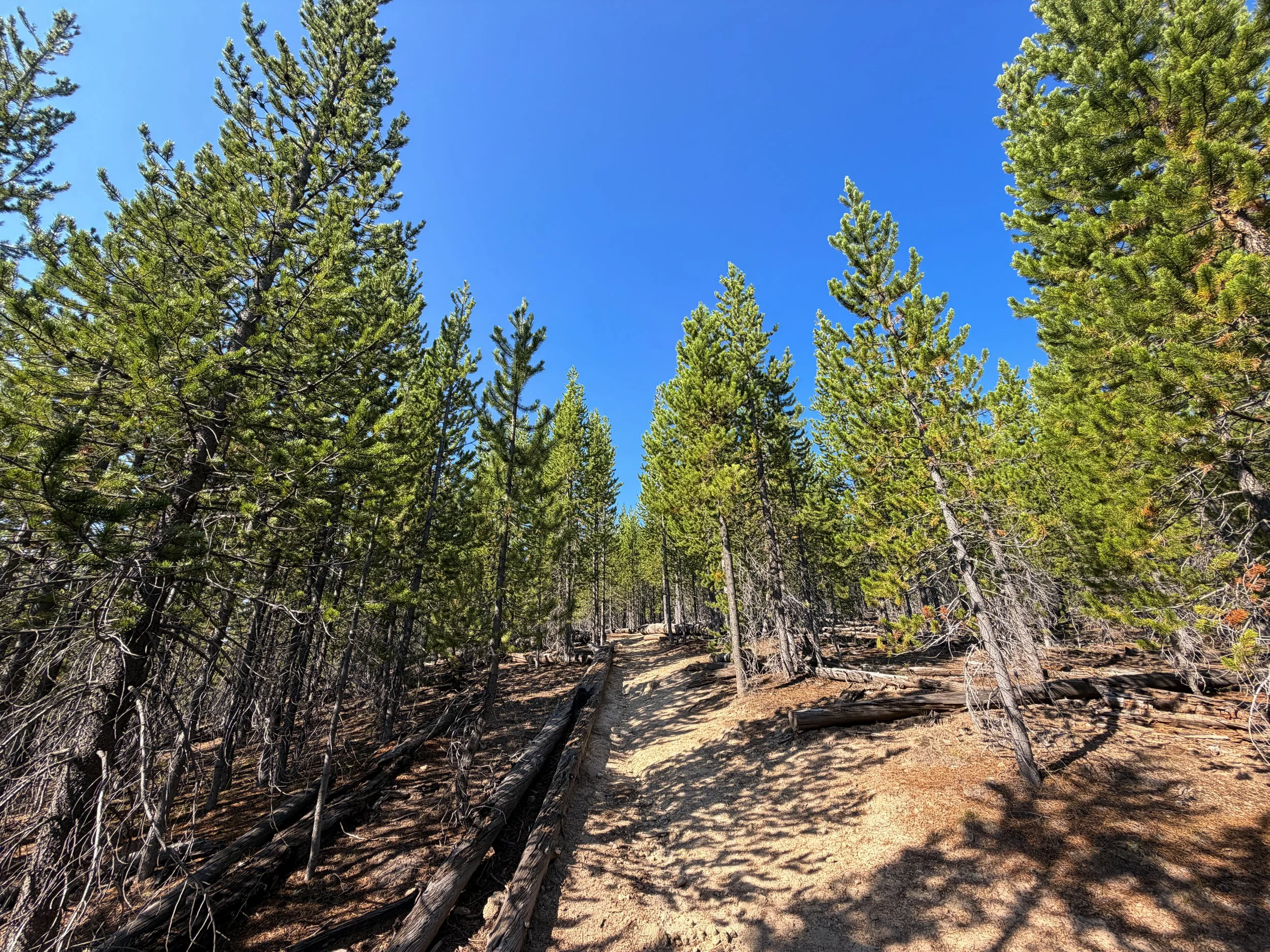 Monument Geyser Basin Hike Yellowstone National Park Wyoming