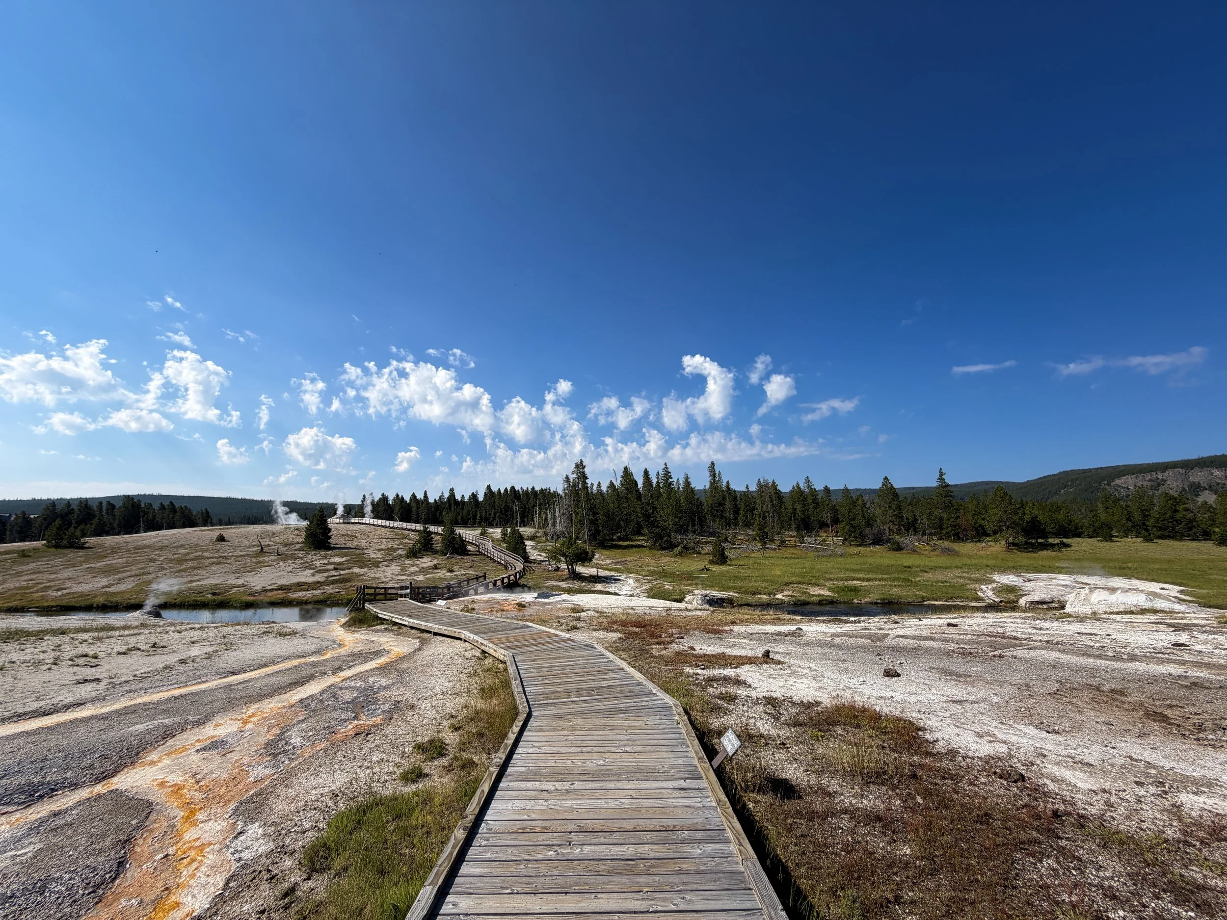 Upper Geyser Basin Trail Yellowstone National Park Wyoming