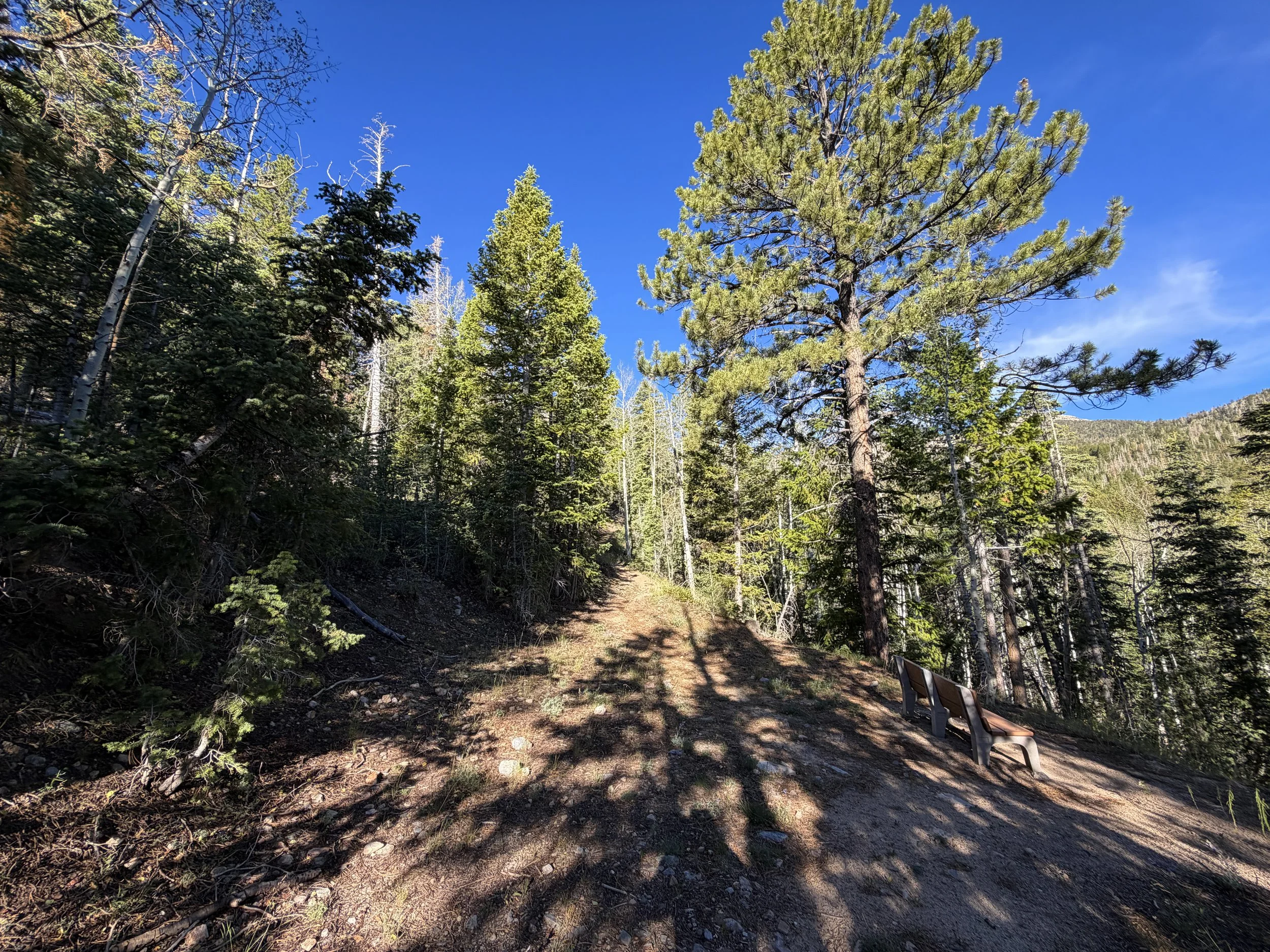 Snake Creek Overlook Great Basin National Park Nevada