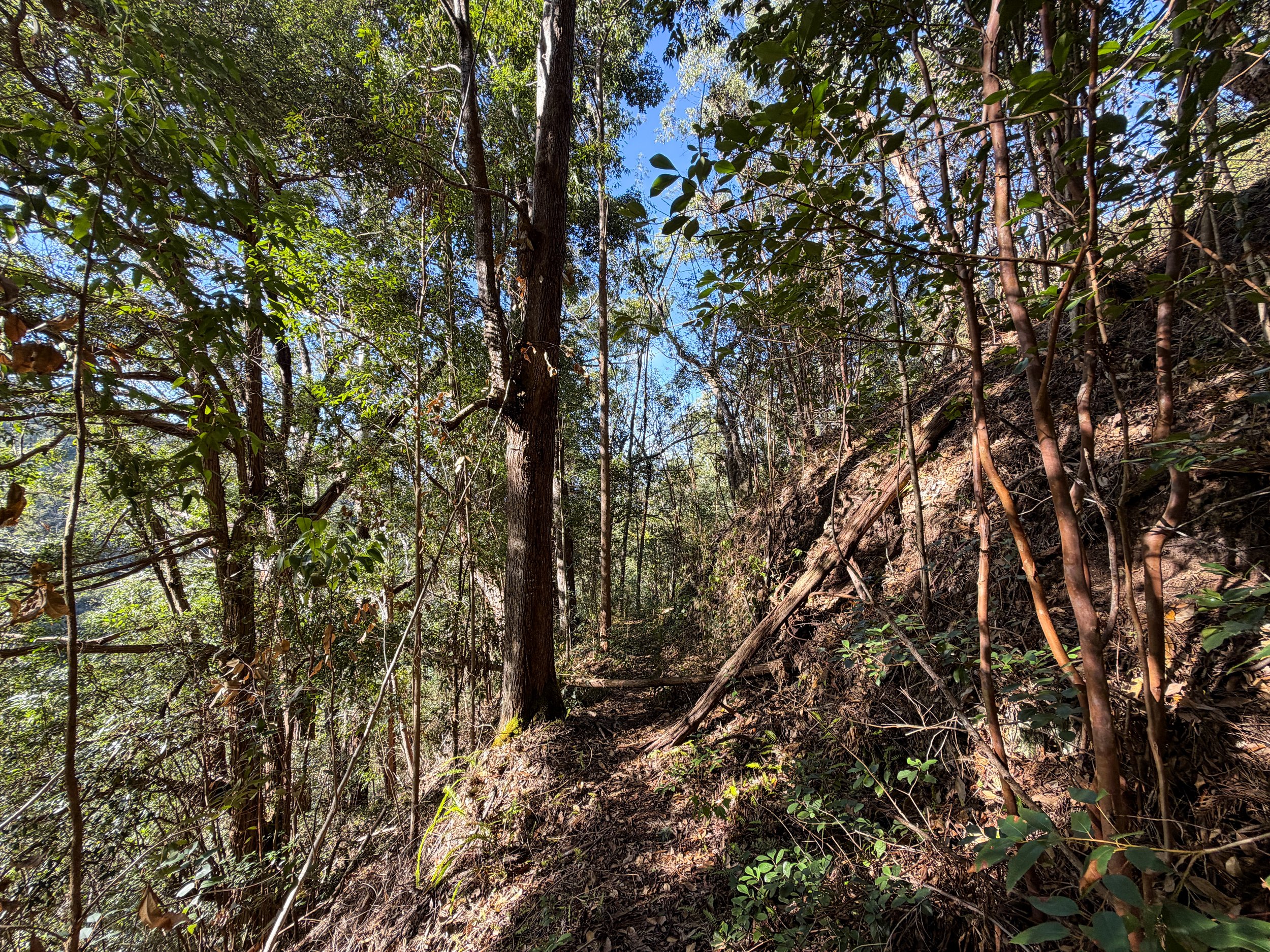 Mokuleia Trail Oahu Hawaii
