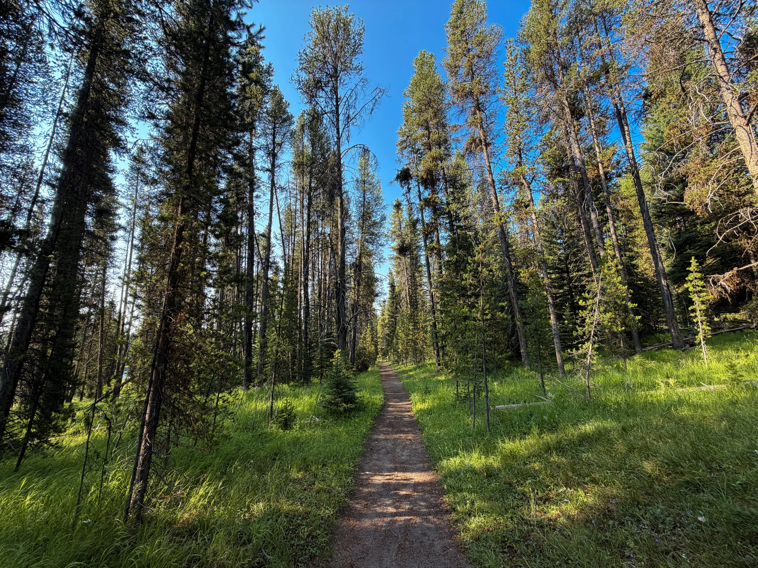 Natural Bridge Trail Yellowstone National Park Wyoming
