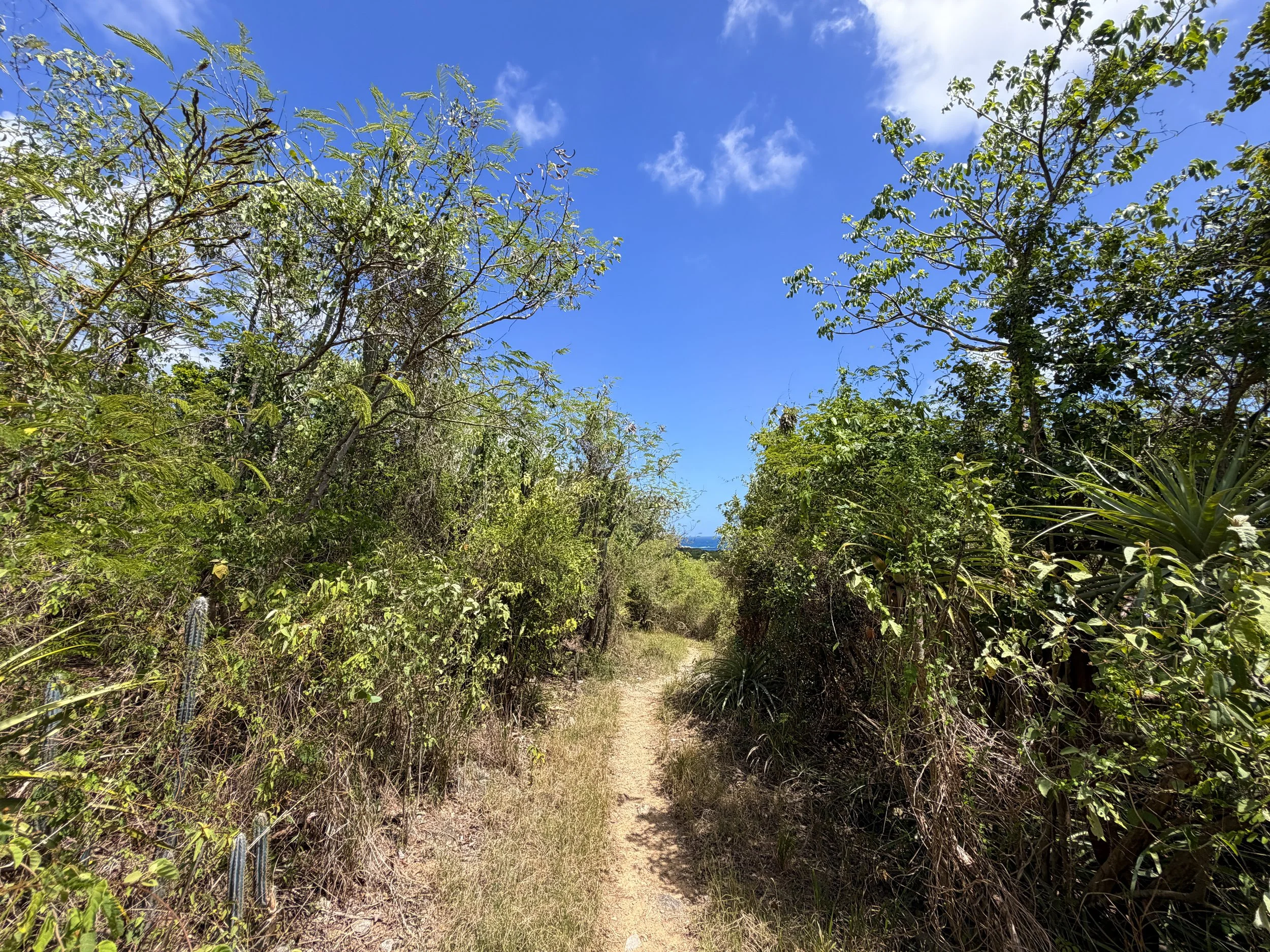 L'Esperance Trail to Reef Bay Virgin Islands National Park