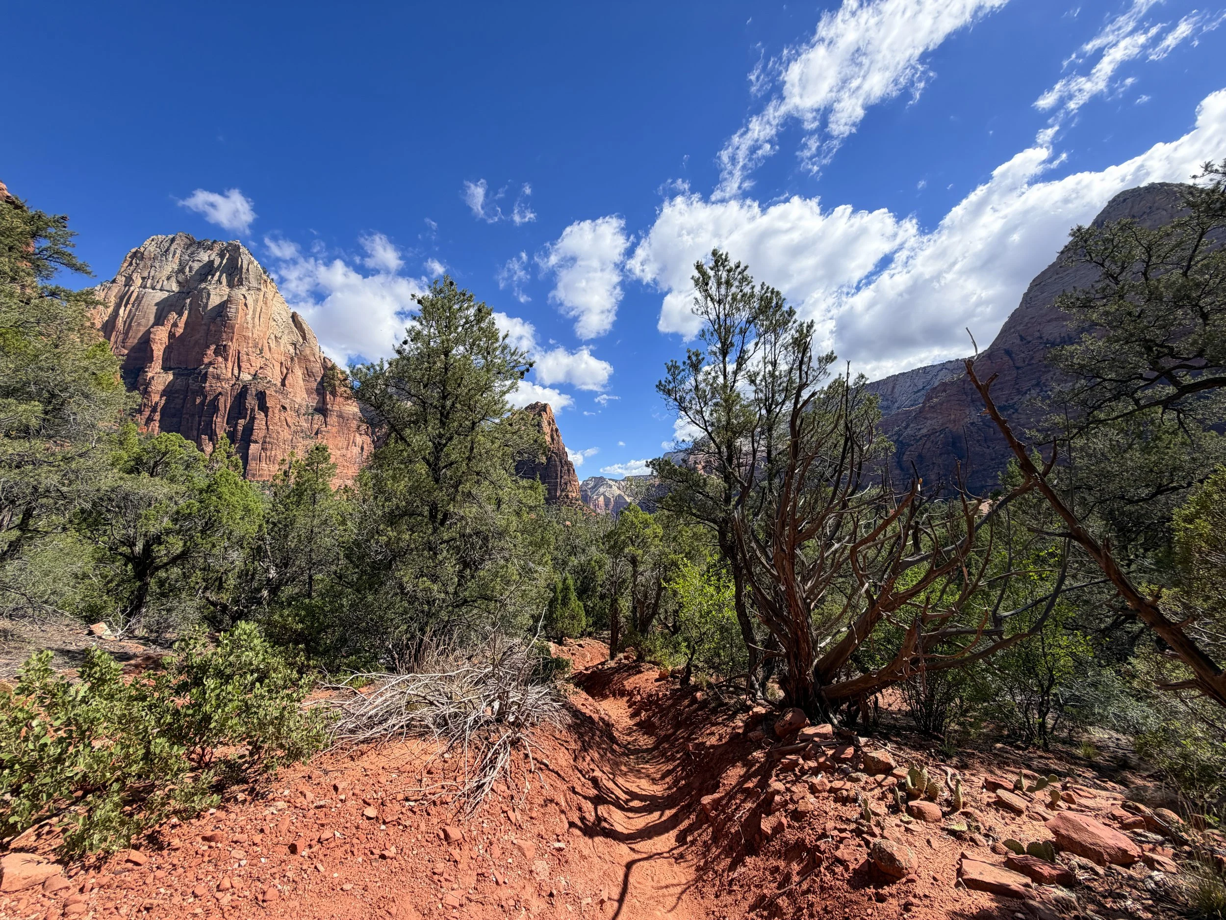 Sand Bench Loop Trail Zion National Park Utah
