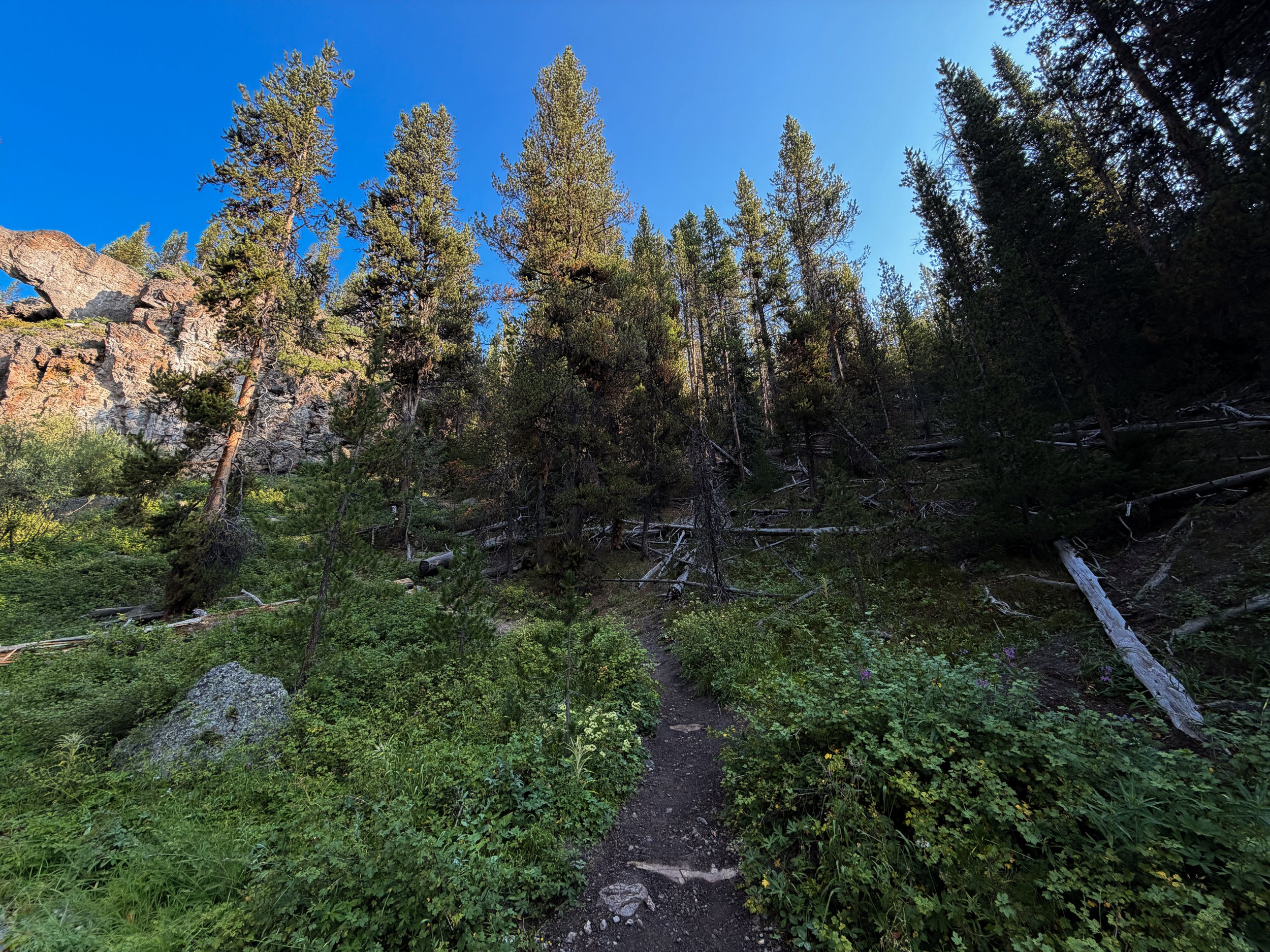 Natural Bridge Trail Yellowstone National Park Wyoming