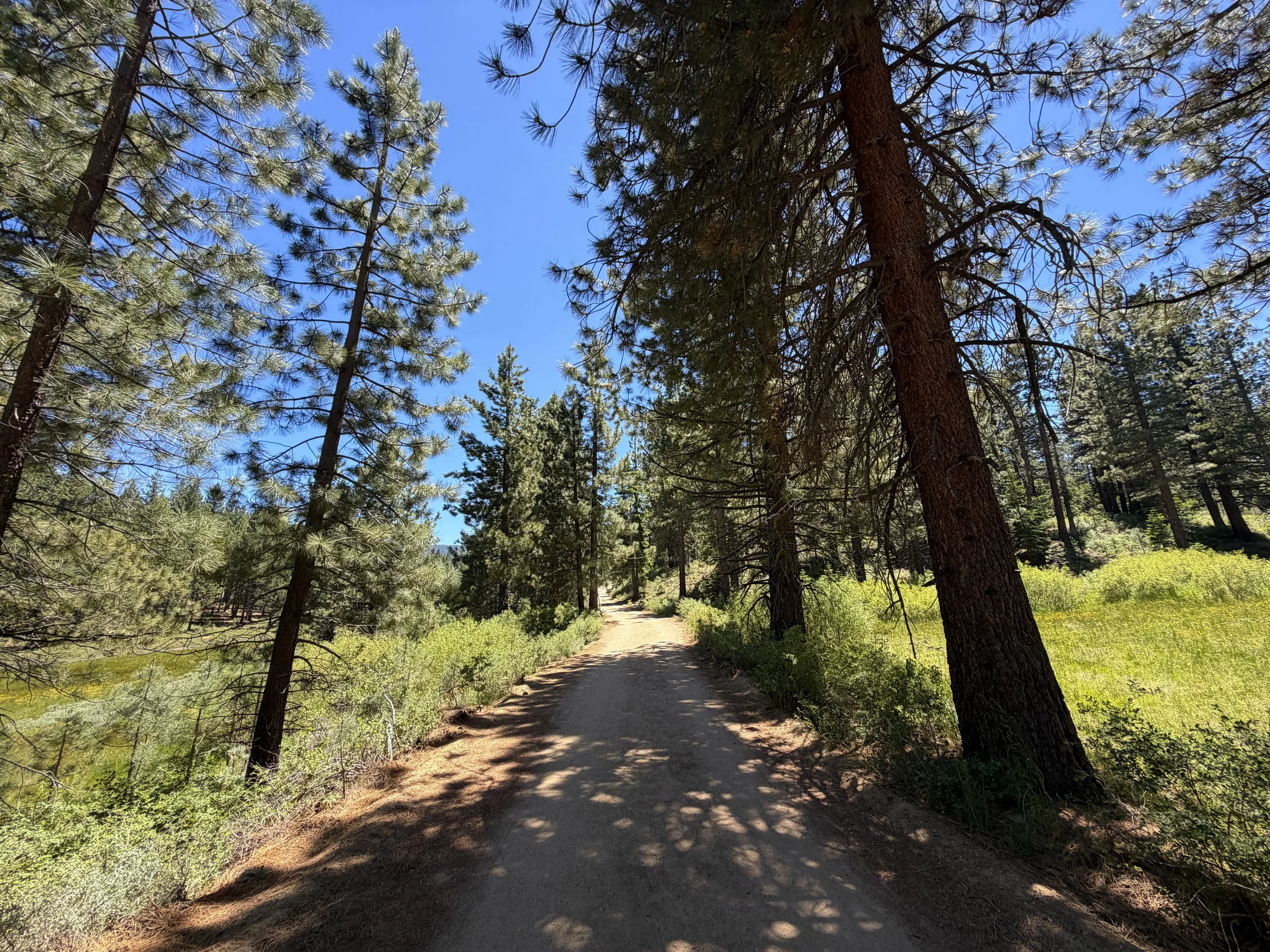 Spooner Lake Loop Trail Lake Tahoe Nevada