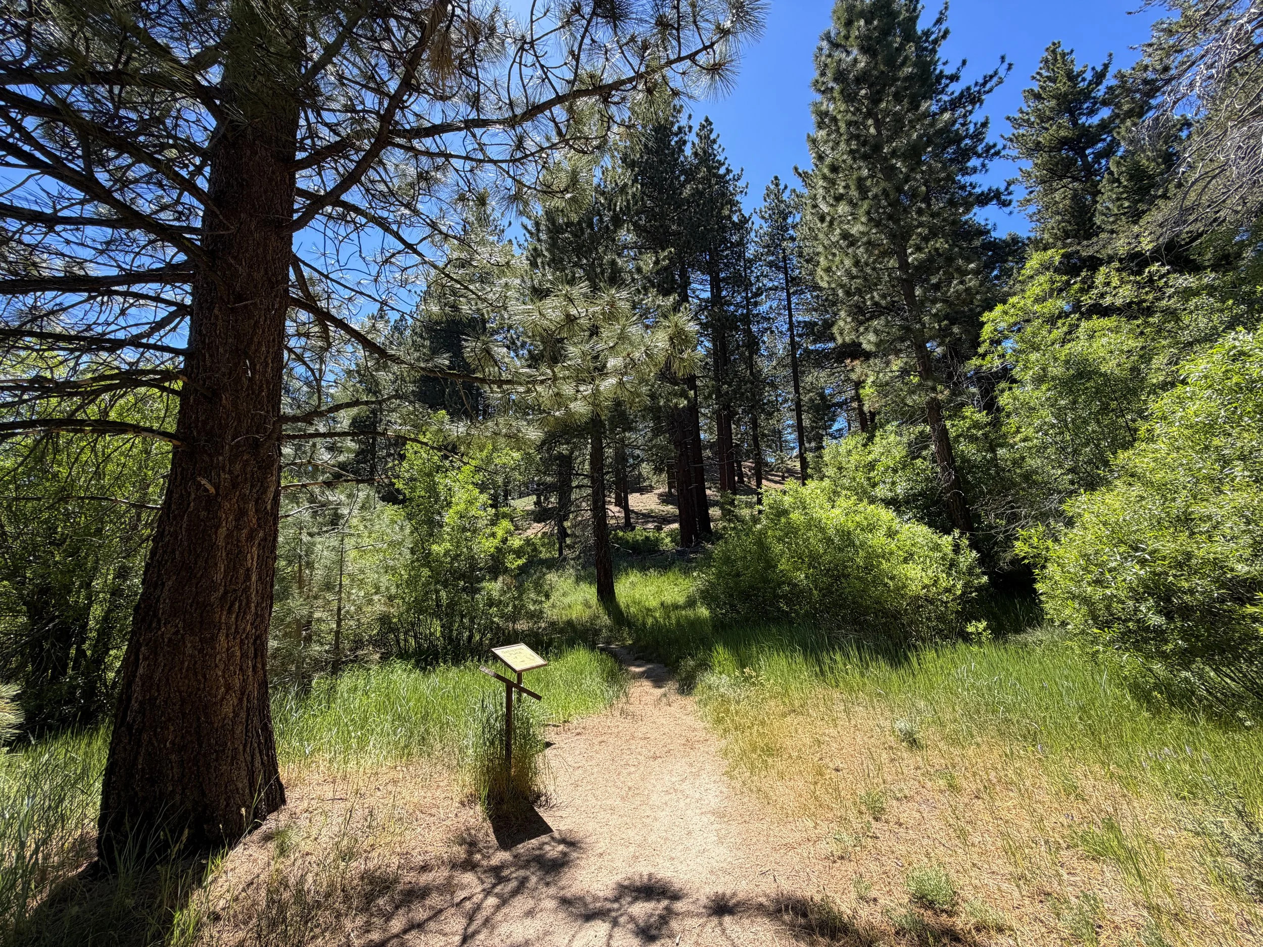 Spooner Lake Loop Trail Lake Tahoe Nevada
