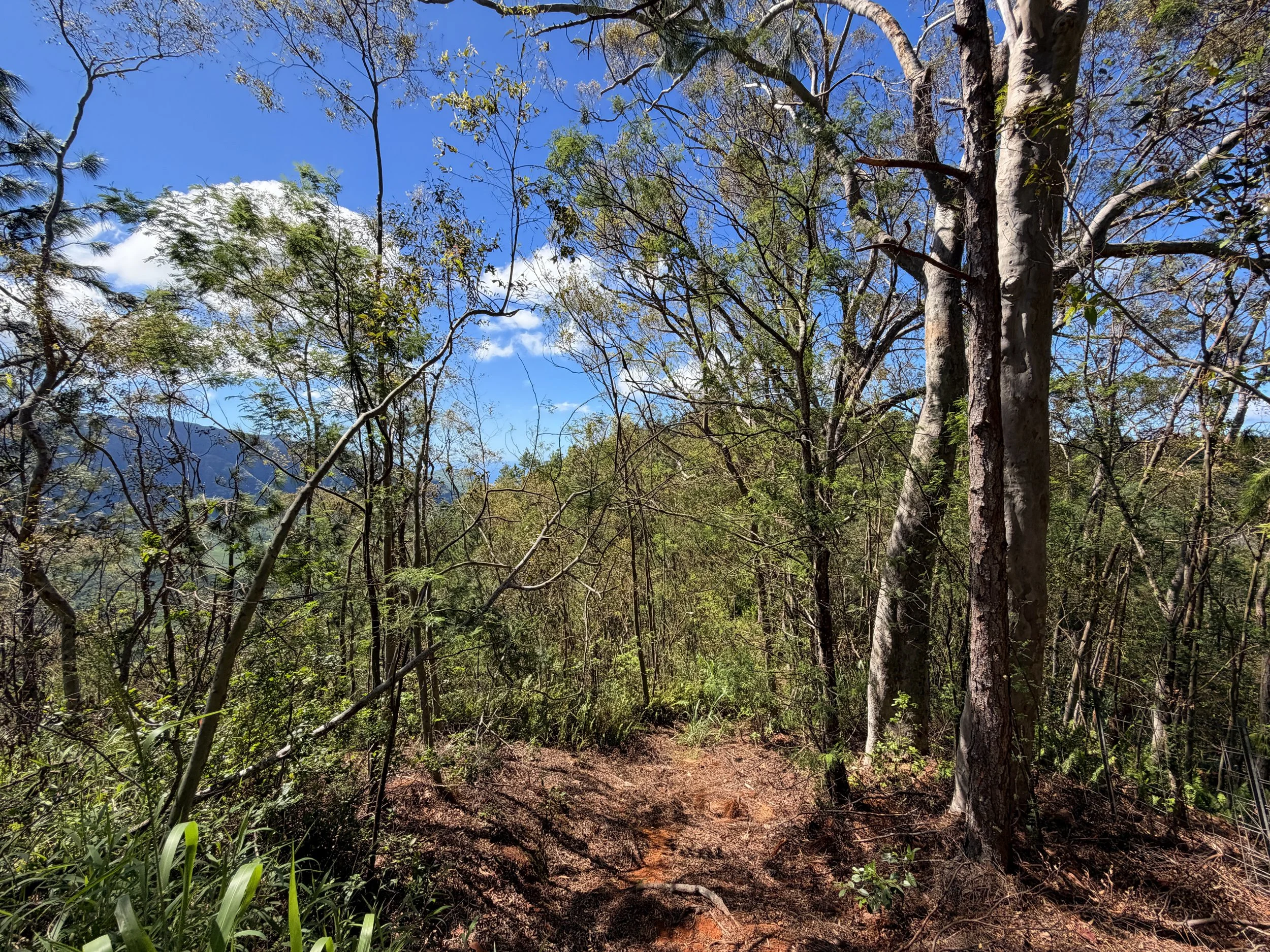 Kuaokala Trail Oahu Hawaii