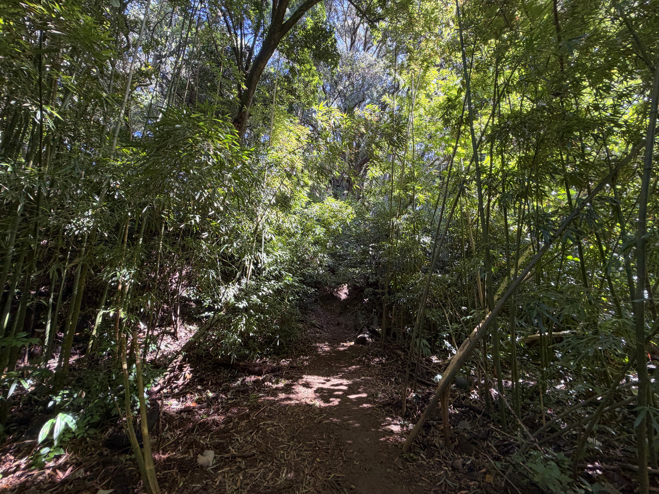Lulumahu Falls Hike Oahu Hawaii