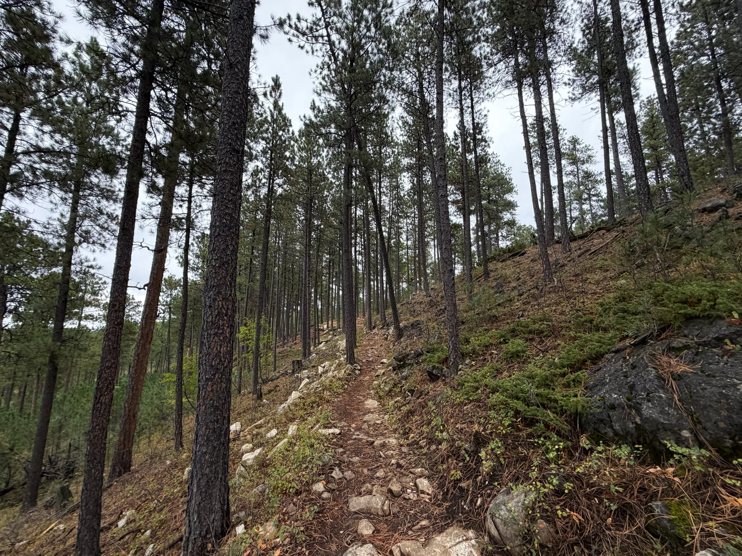 Buzzards Roost Hike Black Hills South Dakota