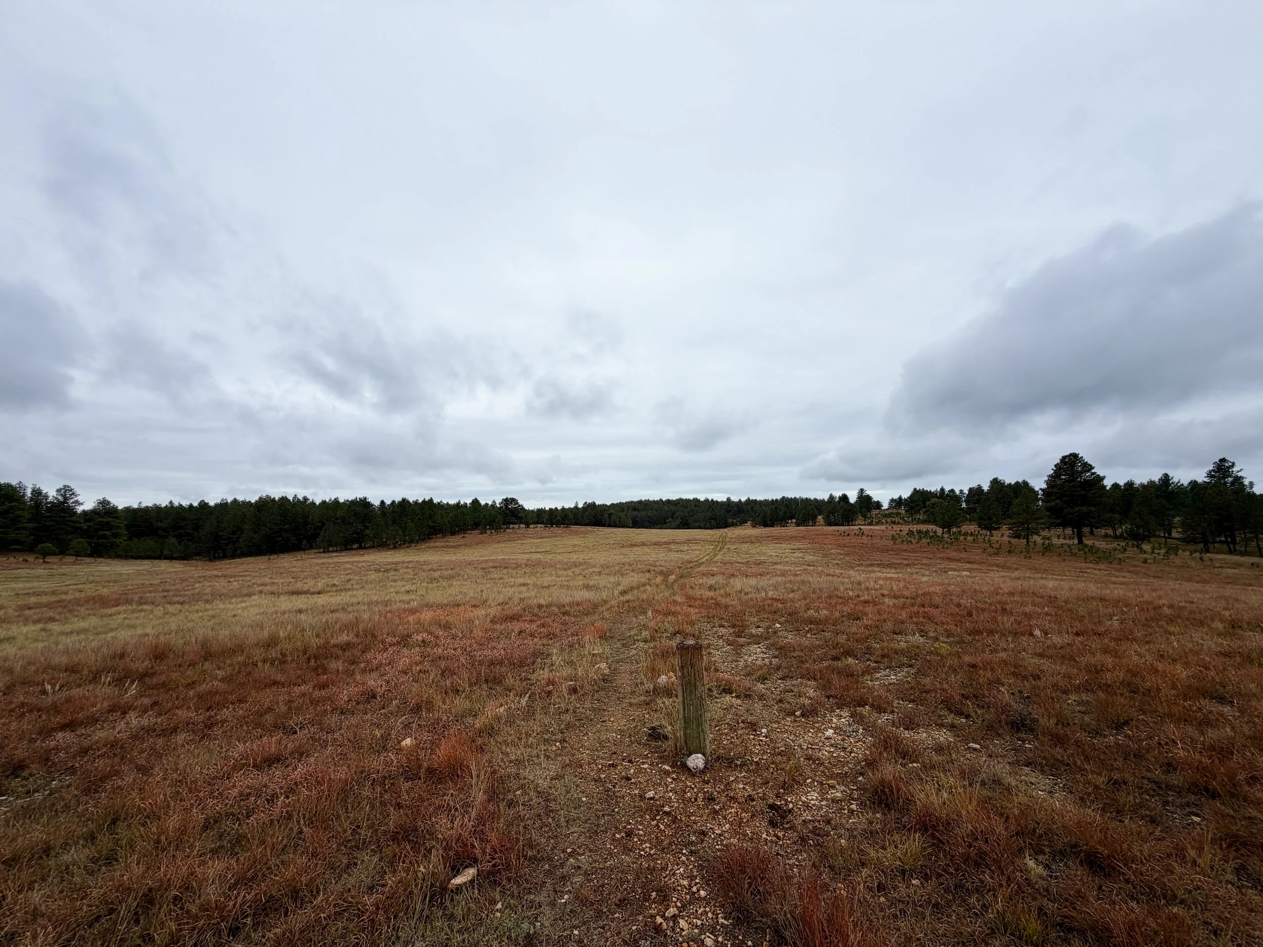 Highland Creek Hike Wind Cave National Park South Dakota