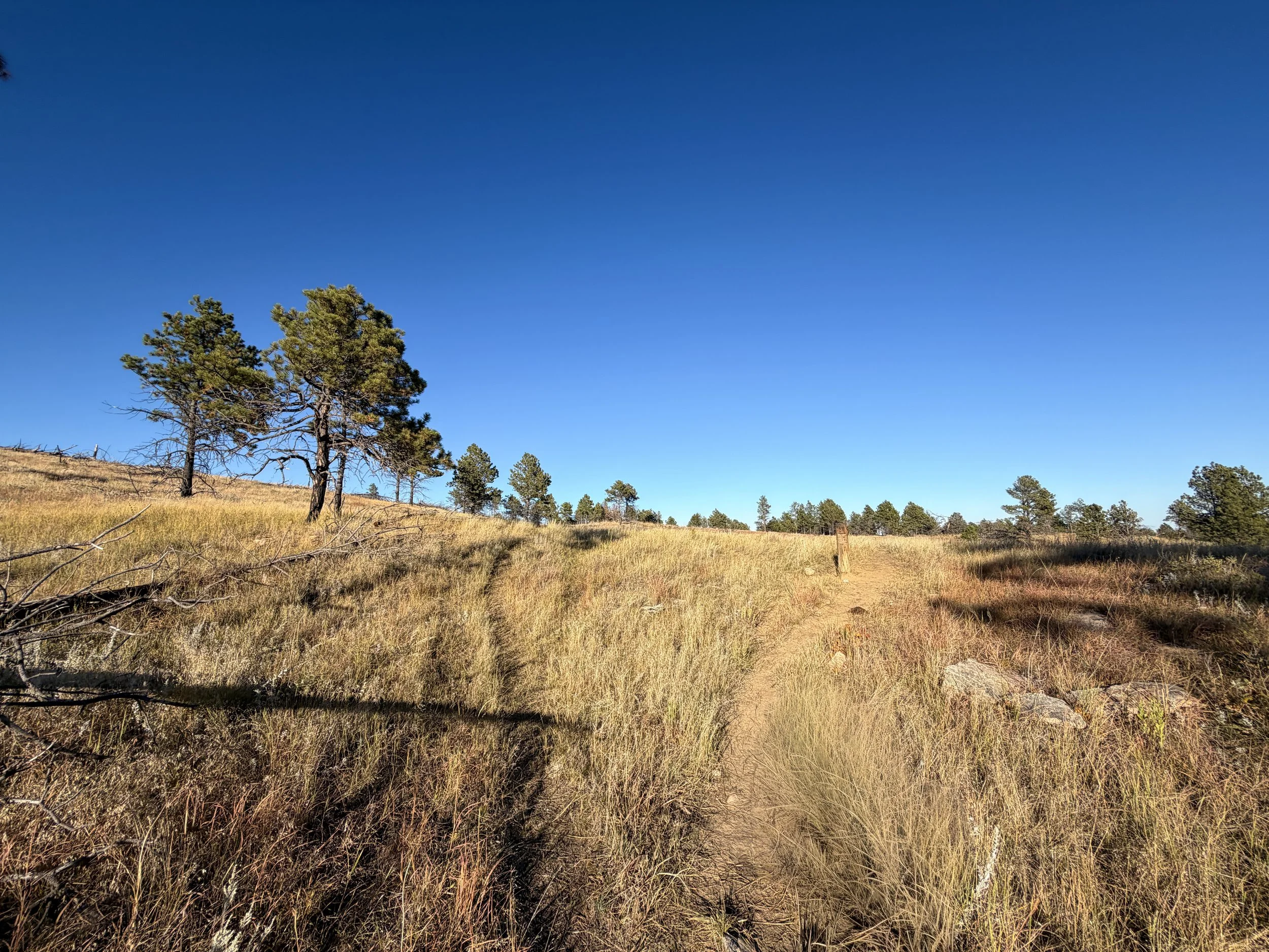 Boland Ridge Trail Wind Cave National Park South Dakota