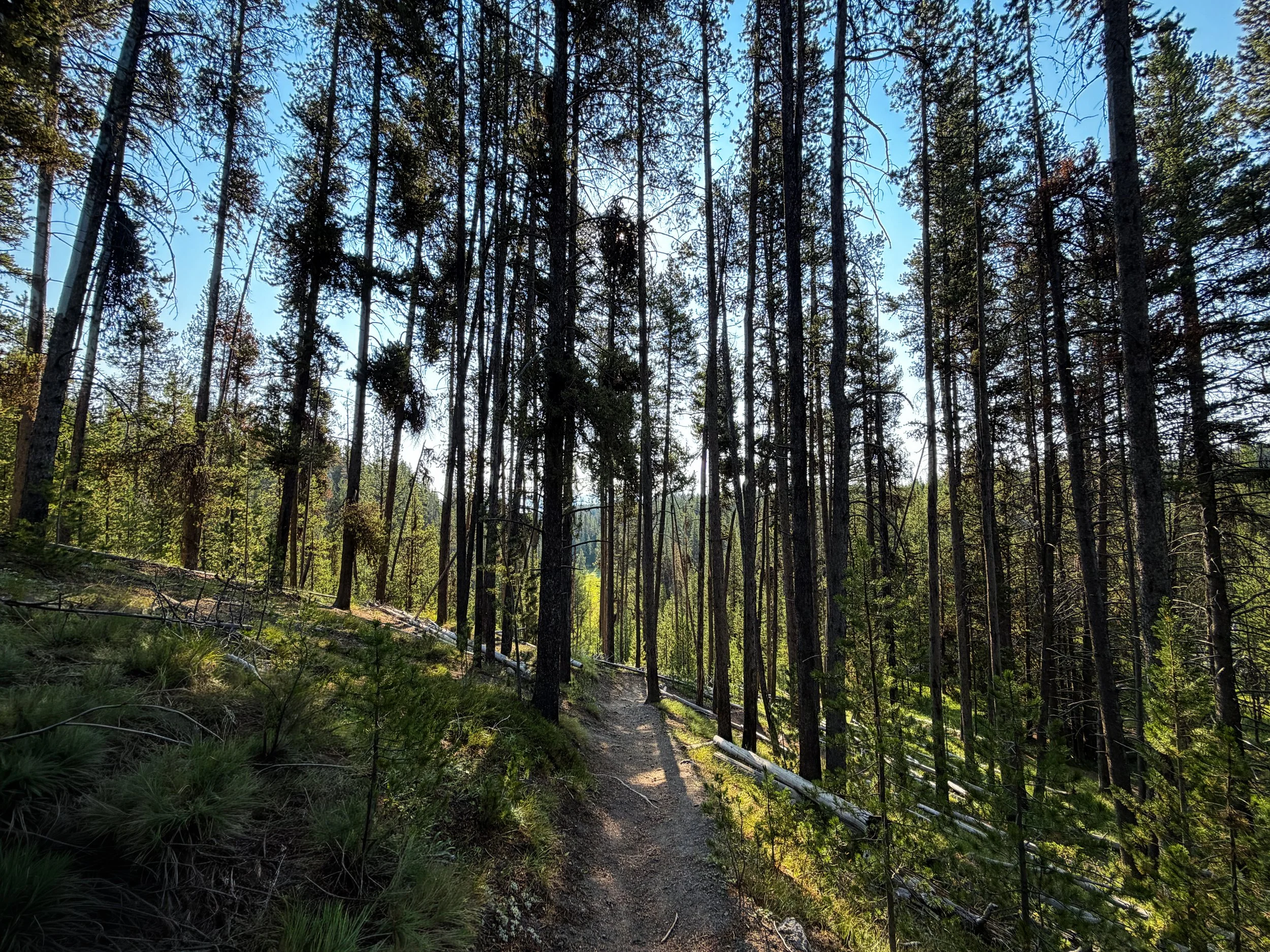 Natural Bridge Trail Yellowstone National Park Wyoming