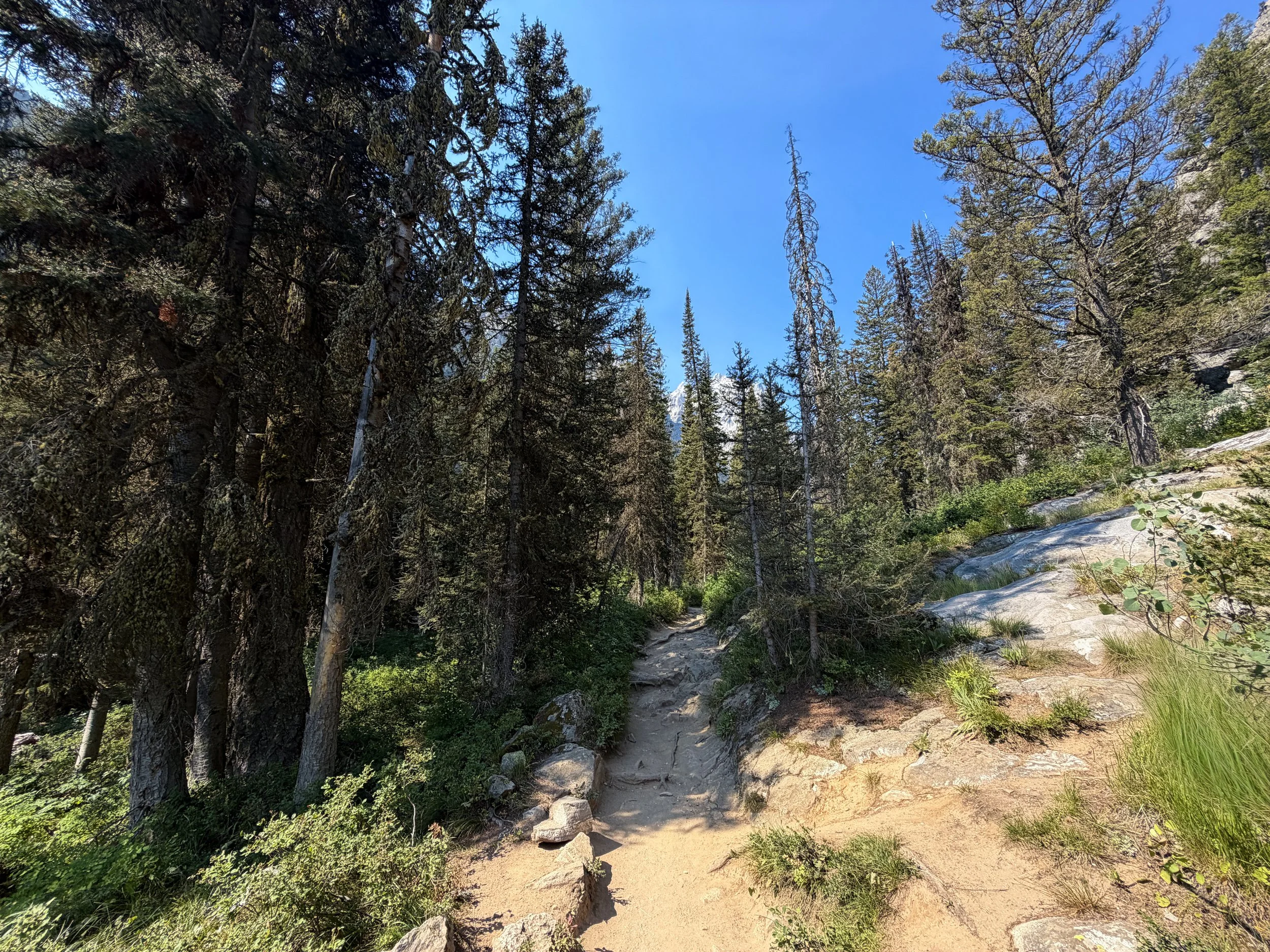 Cascade Canyon Trail Grand Teton National Park Wyoming