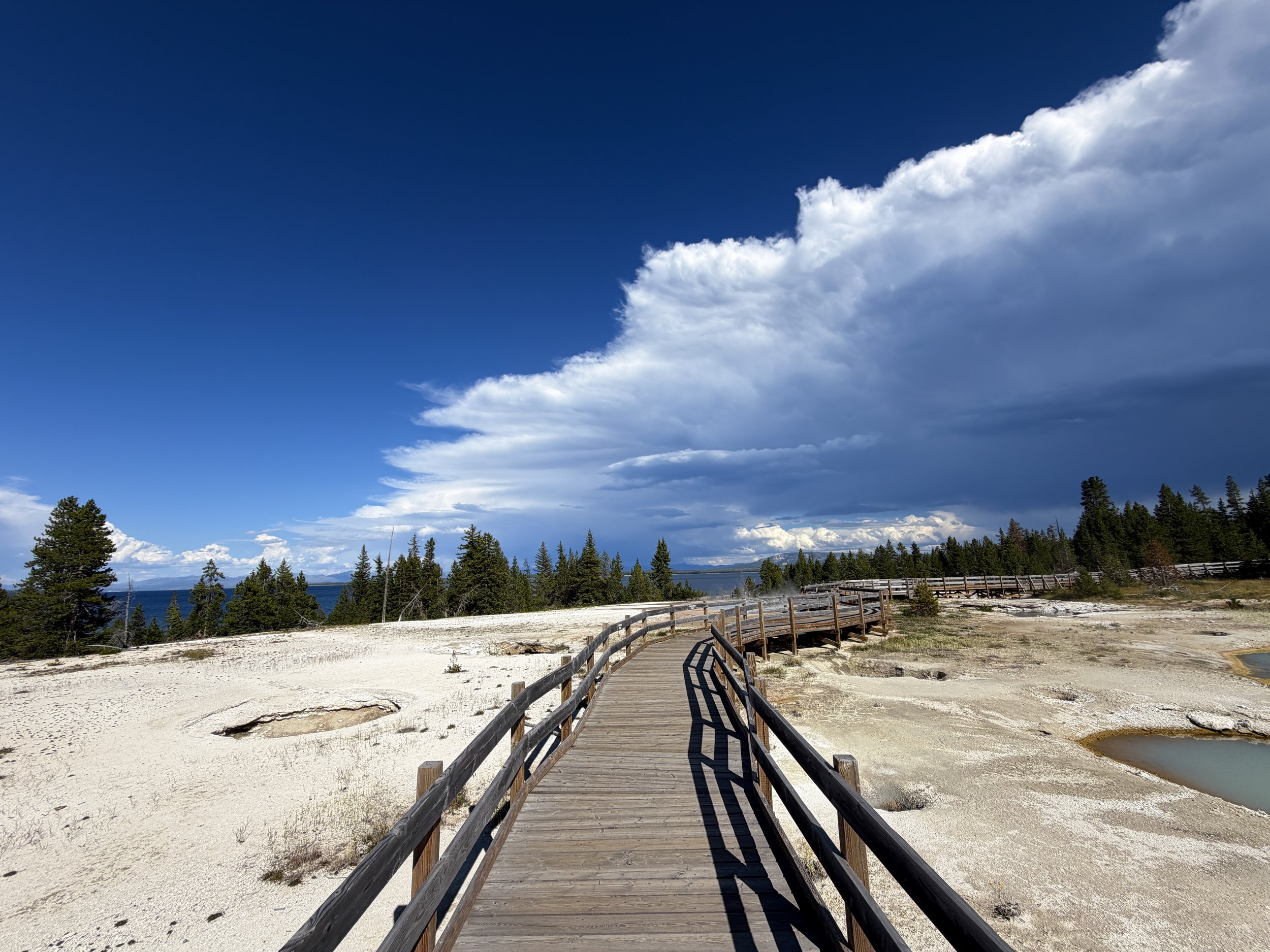 West Thumb Geyser Basin Trail Yellowstone National Park Wyoming