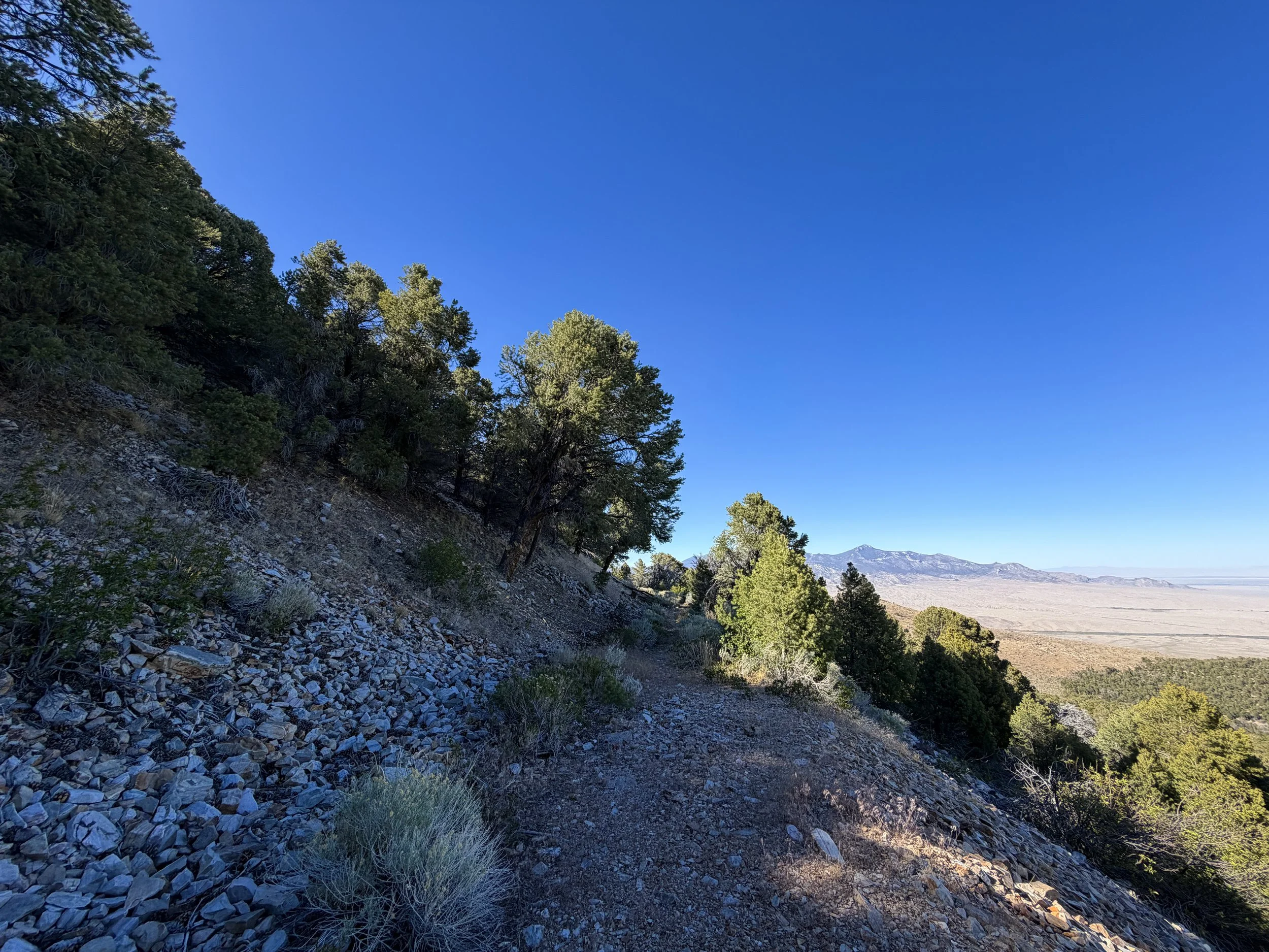 Osceola Ditch Trail Great Basin National Park Nevada