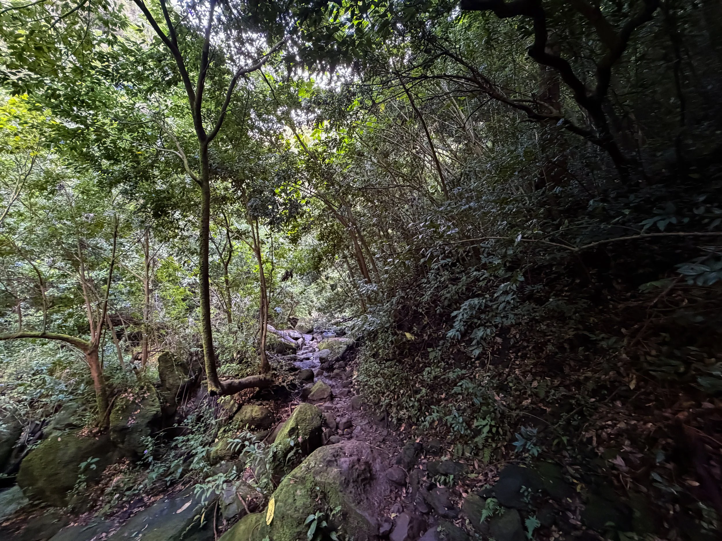 Lulumahu Falls Trail Oahu Hawaii