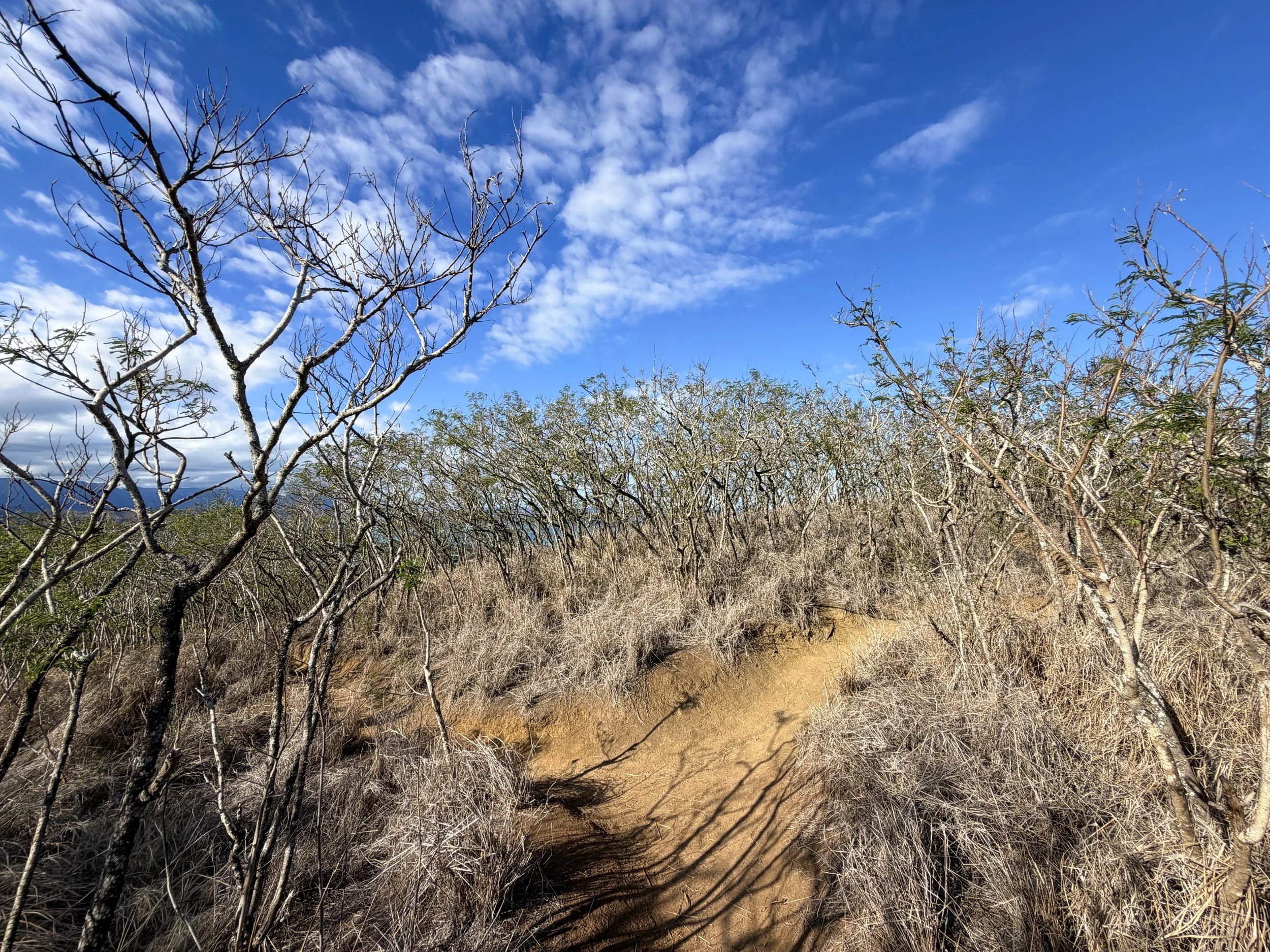 Back Lanikai Pillbox Trail Split Oahu Hawaii