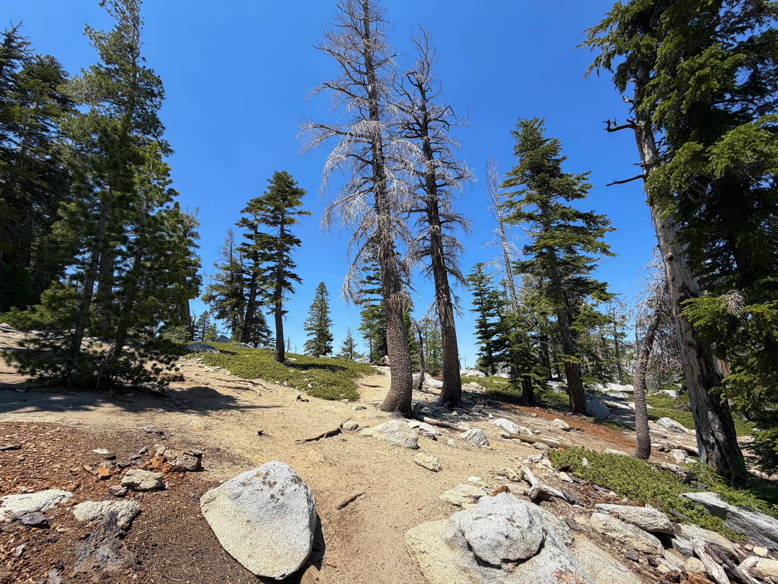 Maggies Peak Trail Lake Tahoe California