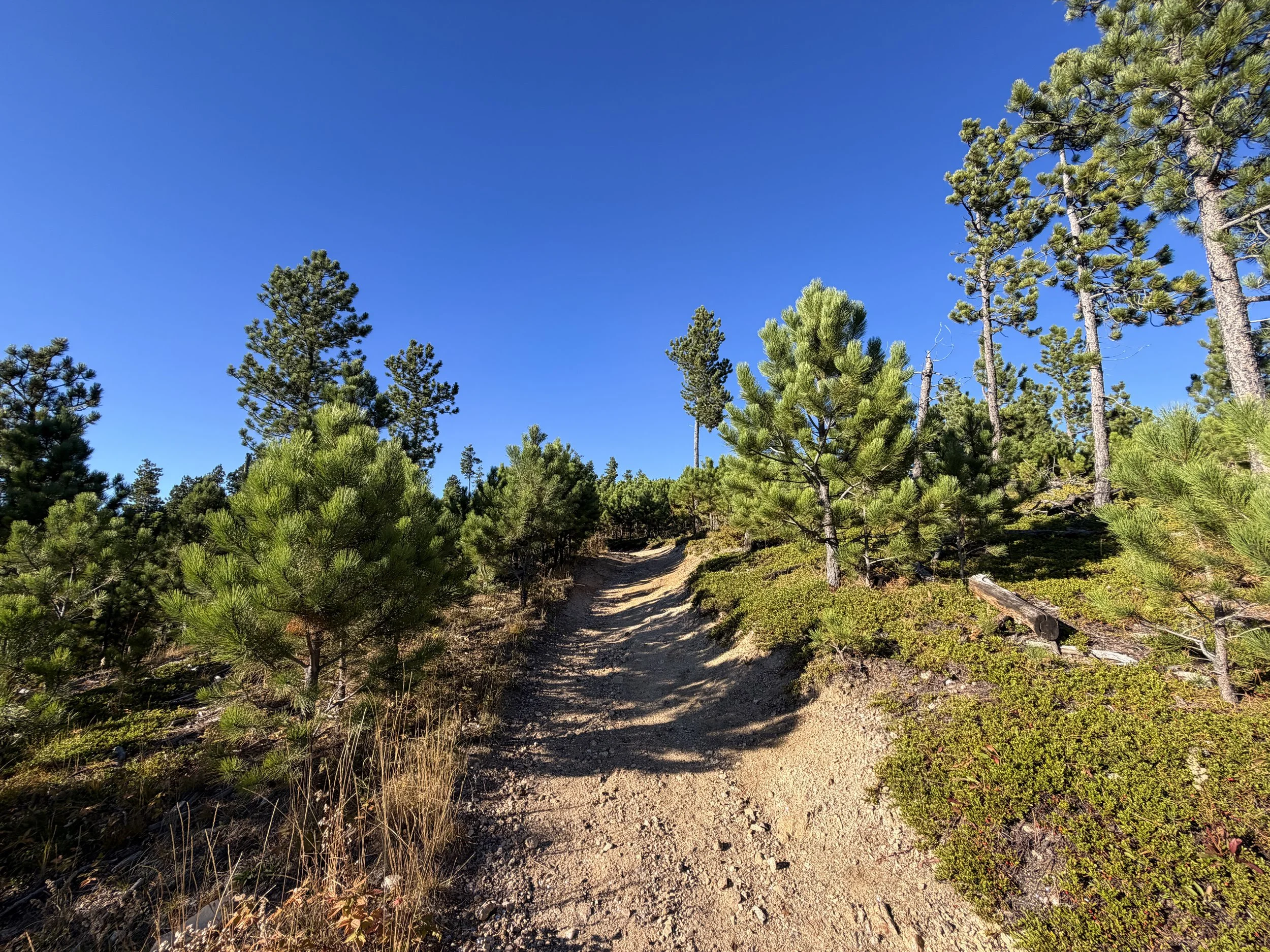 Little Devils Tower Hike Custer State Park Black Hills South Dakota
