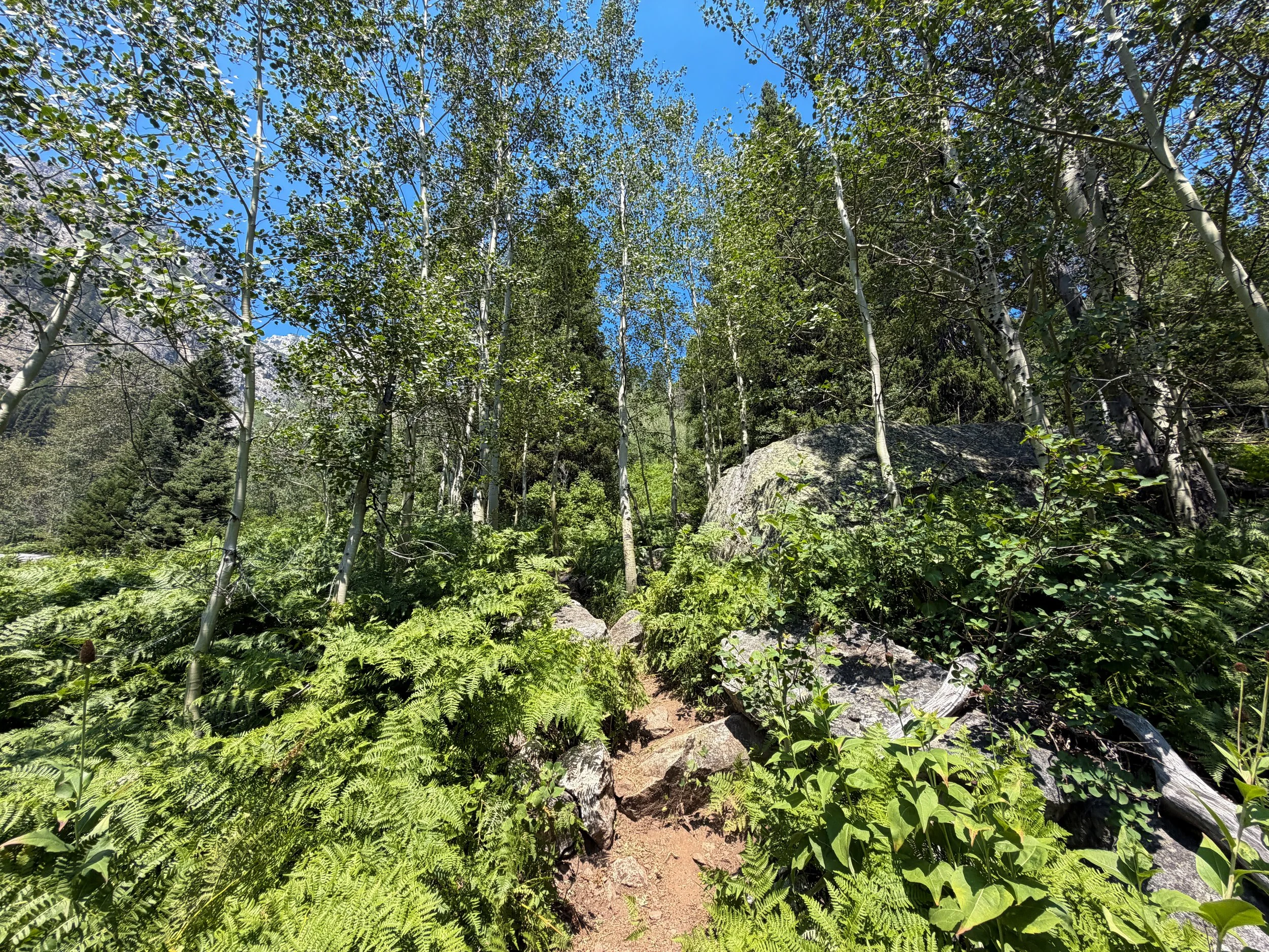 Lake of the Crags Trail Grand Teton National Park Wyoming