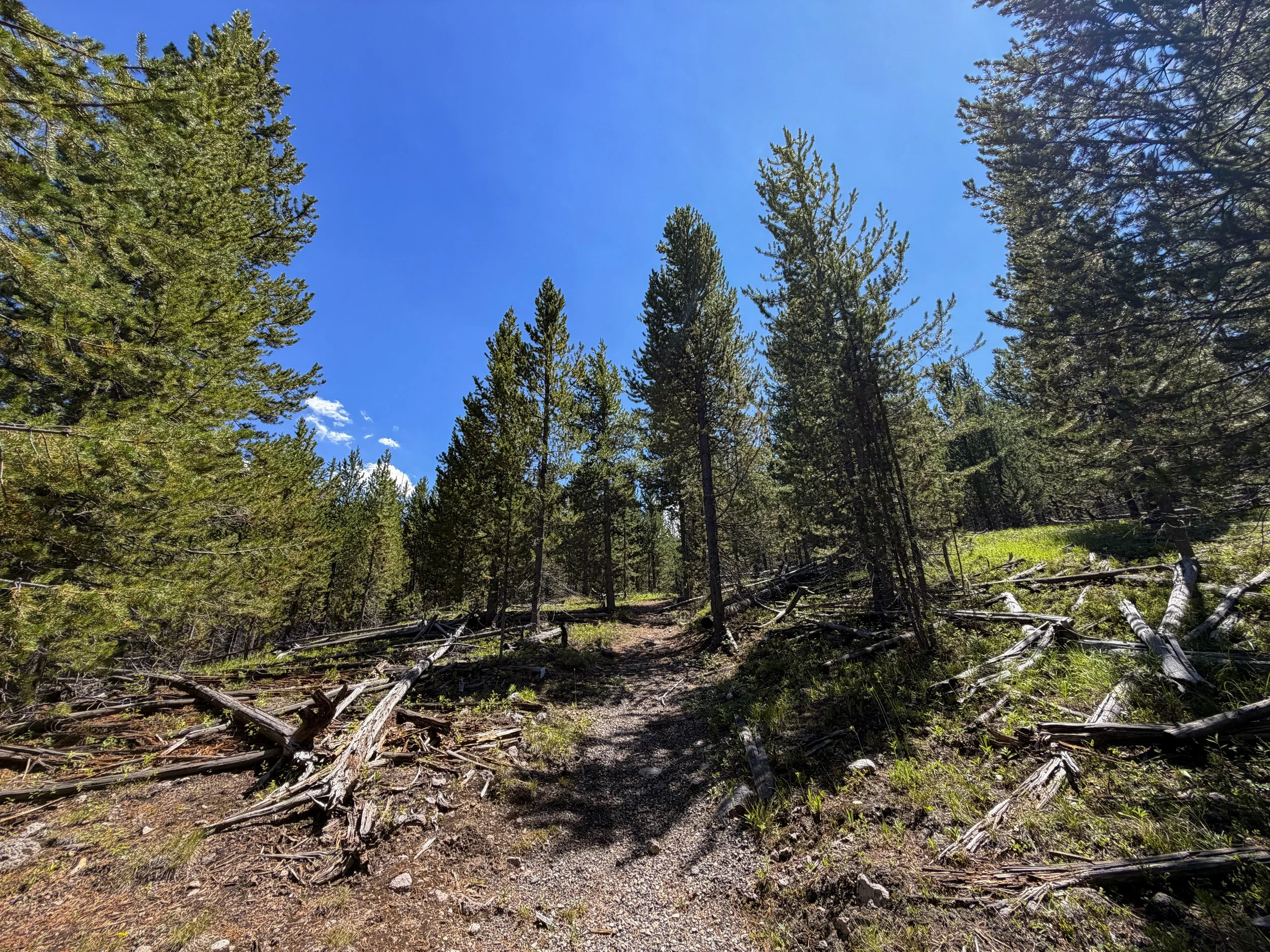 Fern Cascade Loop Trail Yellowstone National Park Wyoming