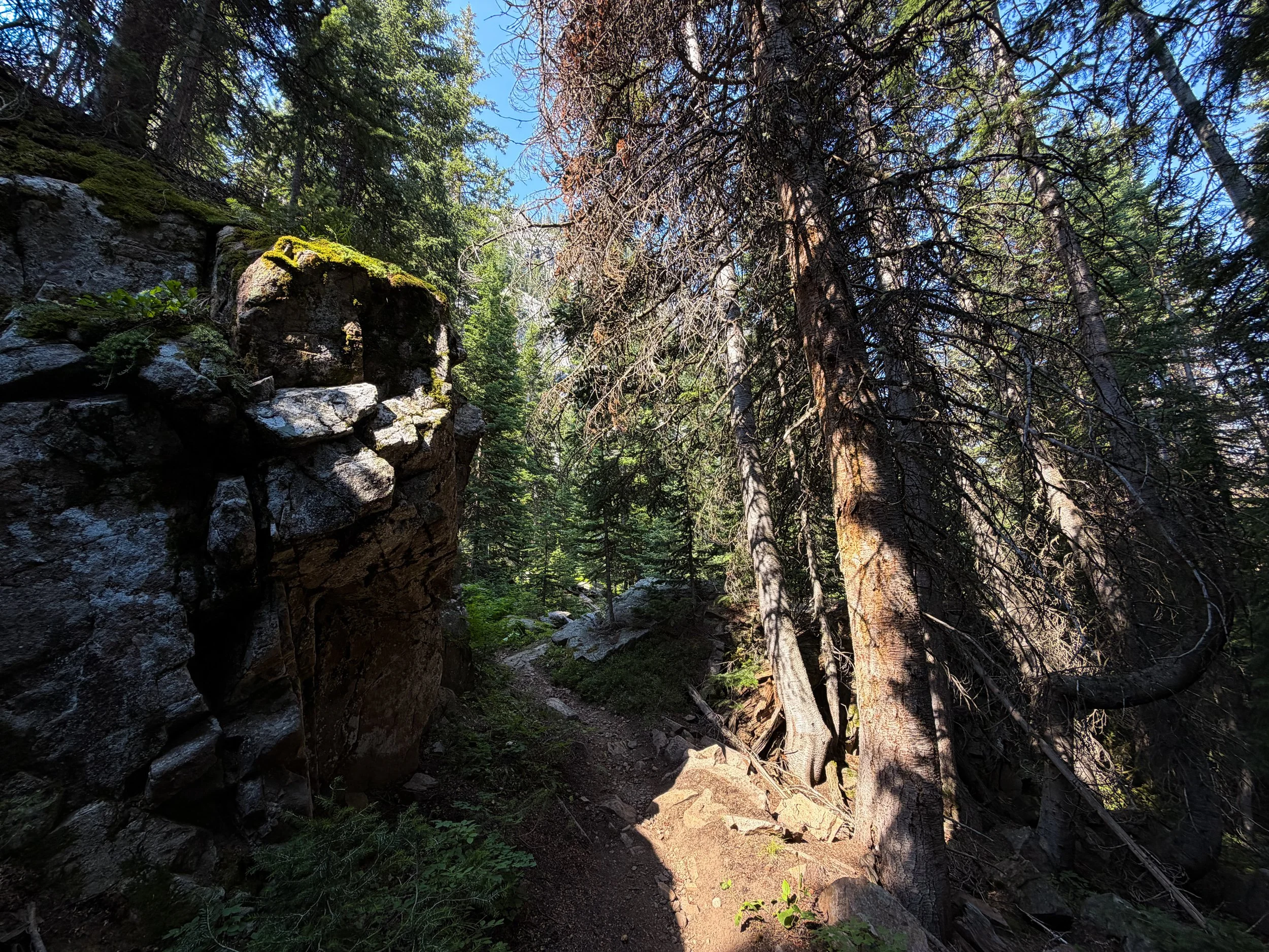 East Rosebud Trail The Beaten Path Beartooth Mountains Montana