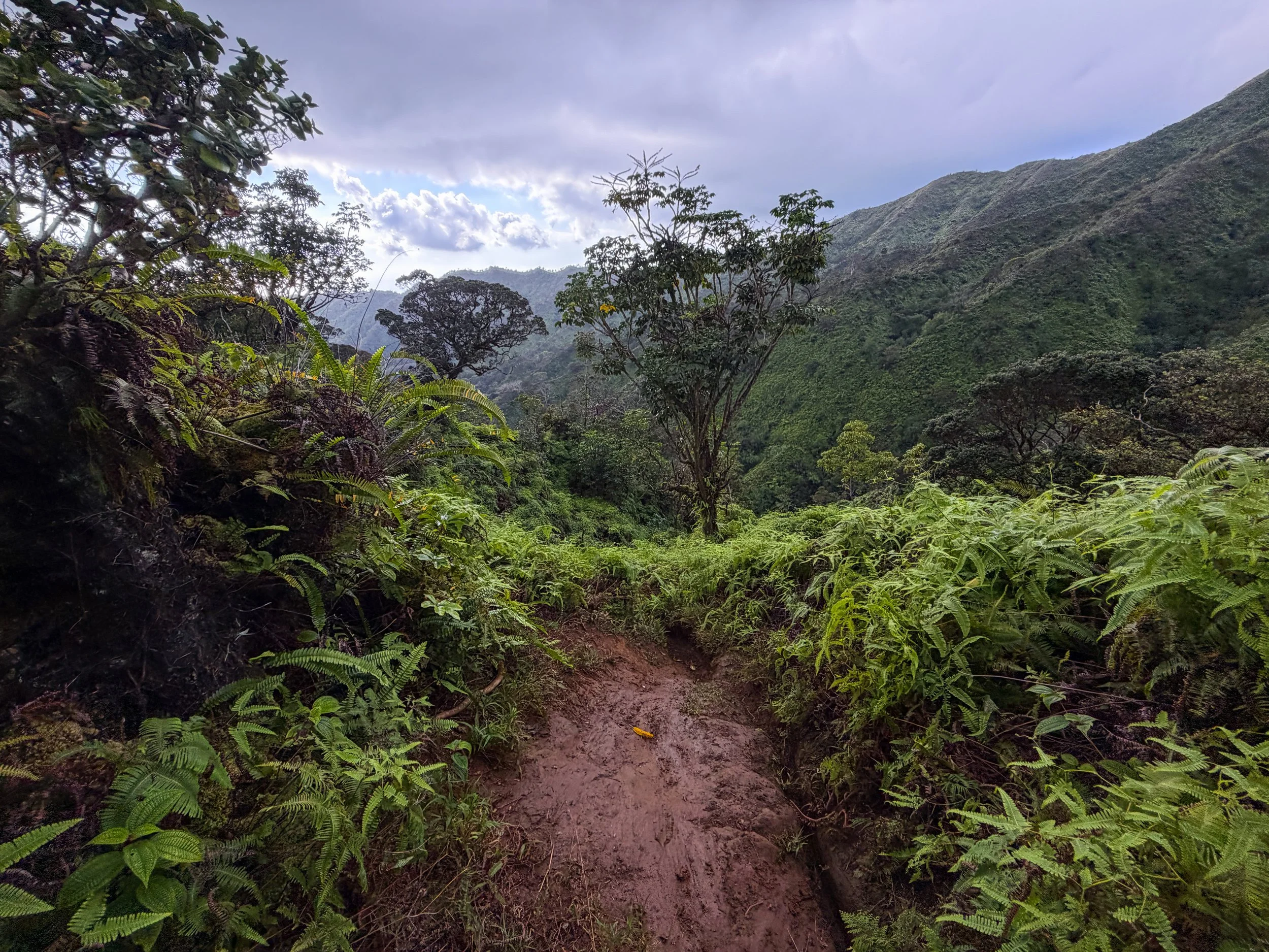 Kaau Crater Trail Oahu Hawaii