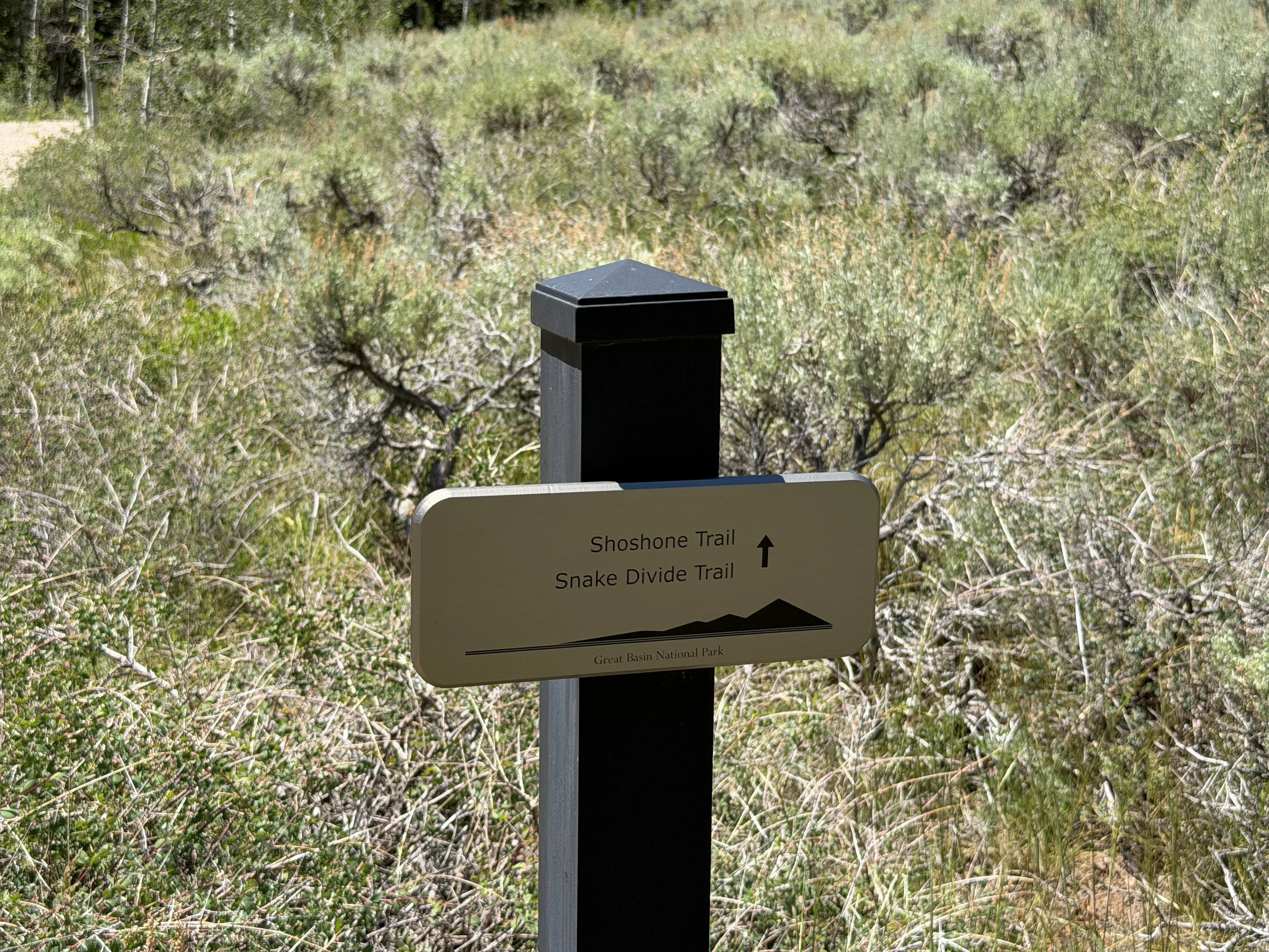 Dead Lake Trail Great Basin National Park Nevada