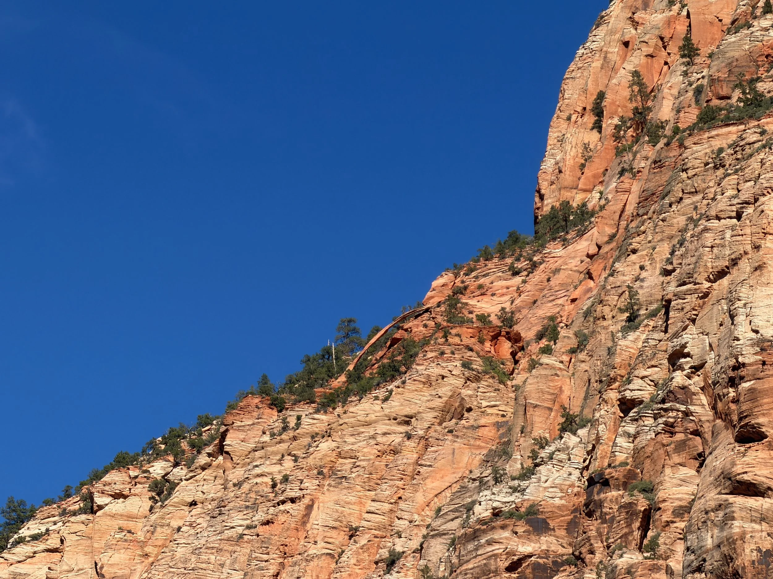 Crawford Arch Parus Trail Zion National Park Utah