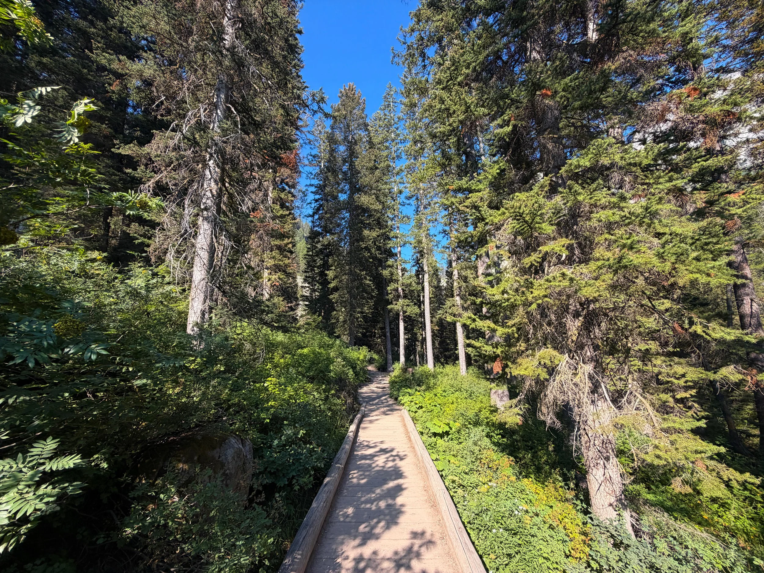 Hidden Falls Trail Grand Teton National Park Wyoming