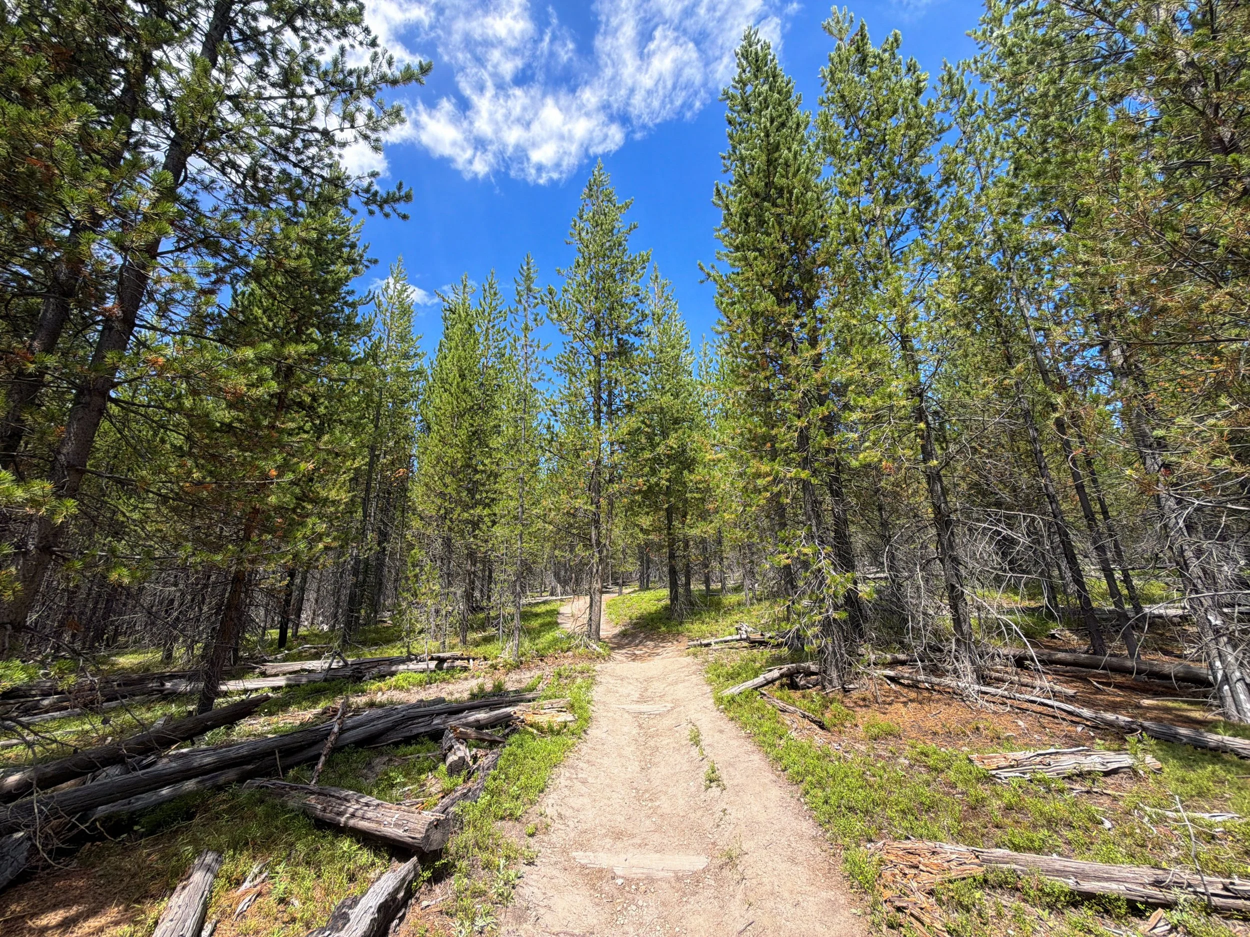 Duck Lake Trail Yellowstone National Park Wyoming