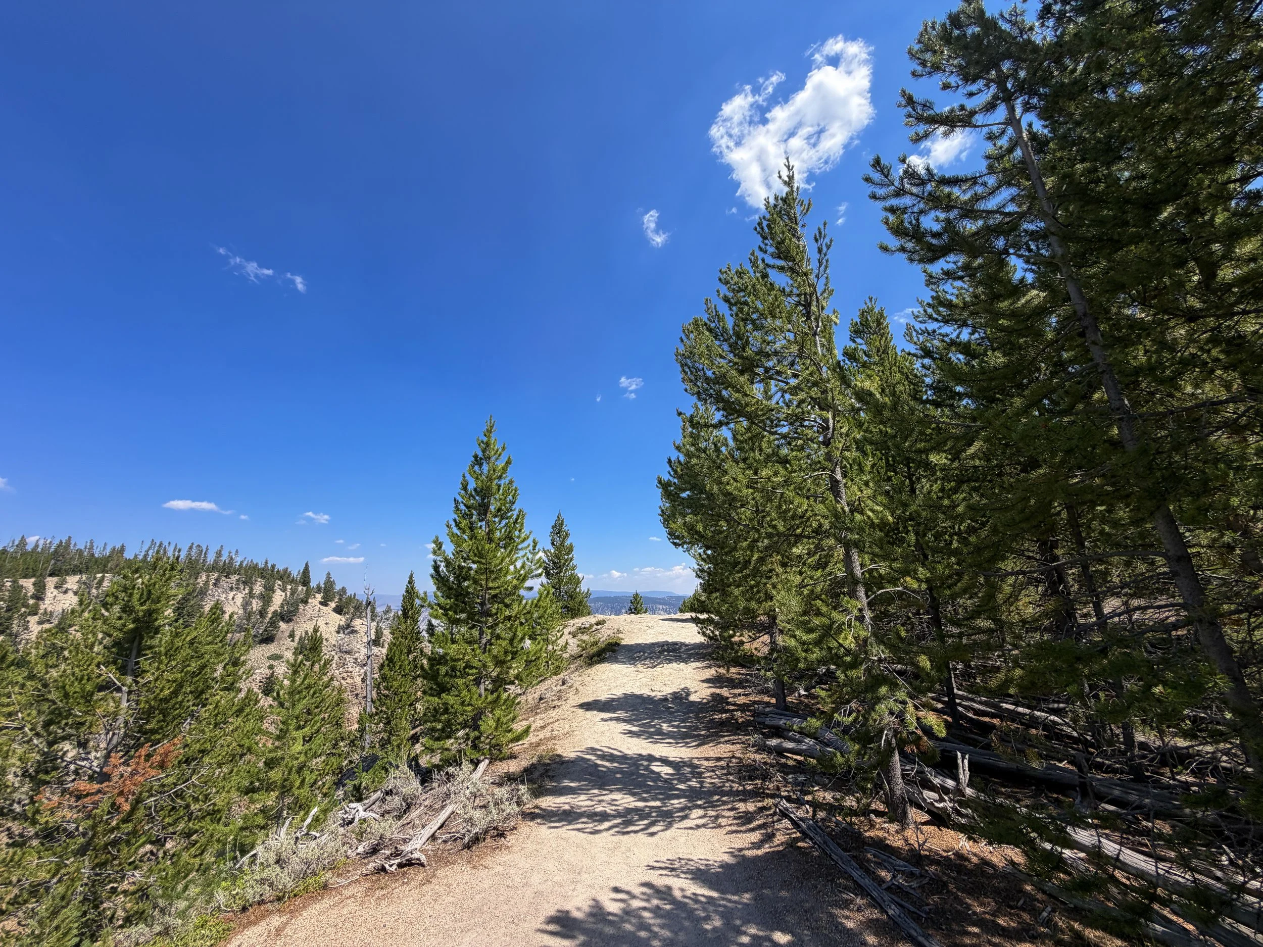Bunsen Peak Trail Yellowstone National Park Wyoming