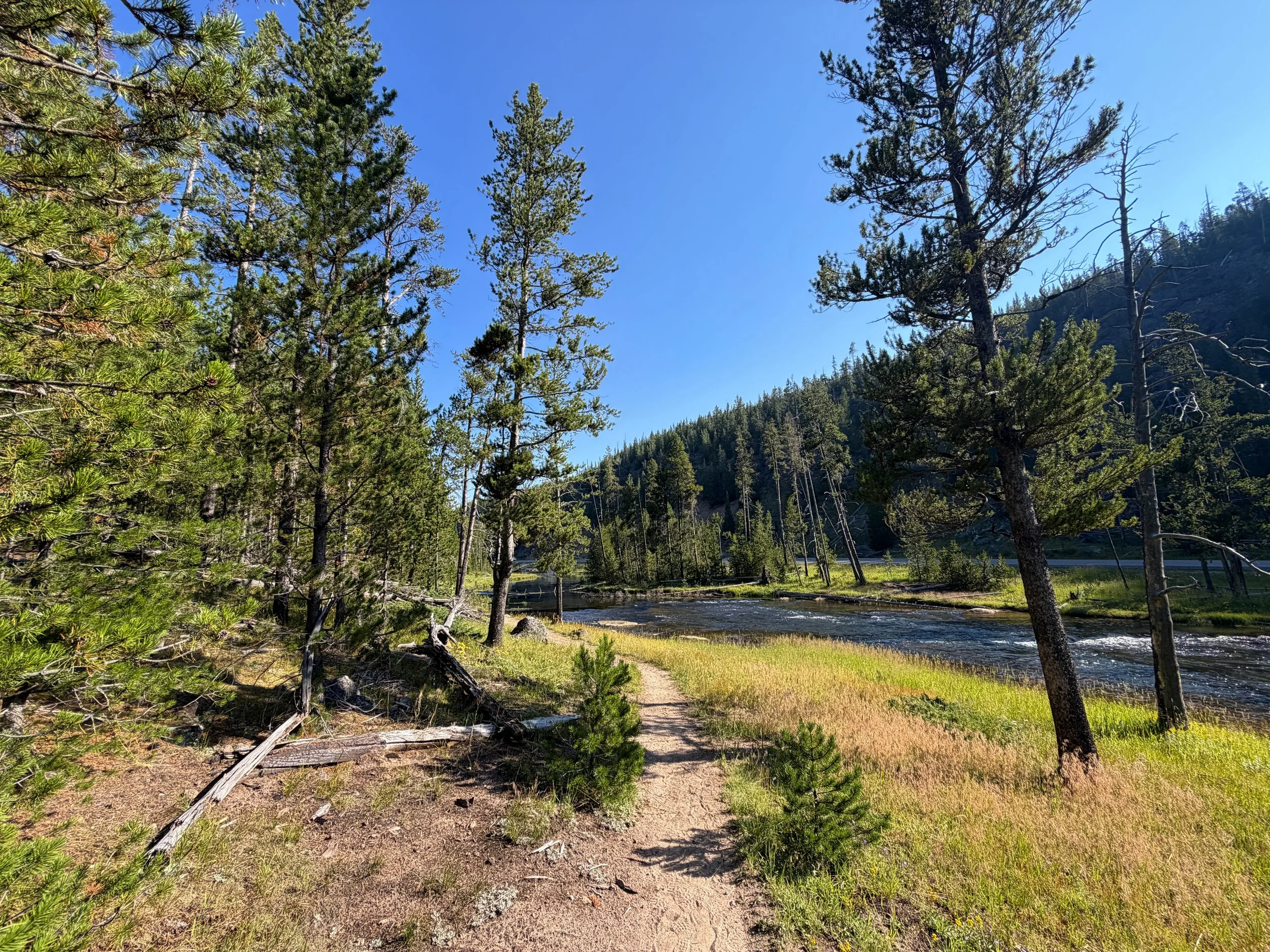 Monument Geyser Basin Trail Yellowstone National Park Wyoming