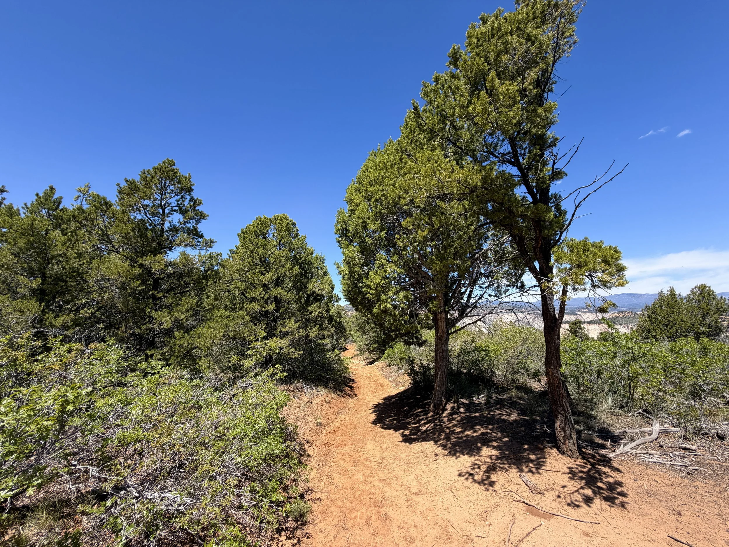 Cable Mountain Hike Zion National Park Utah