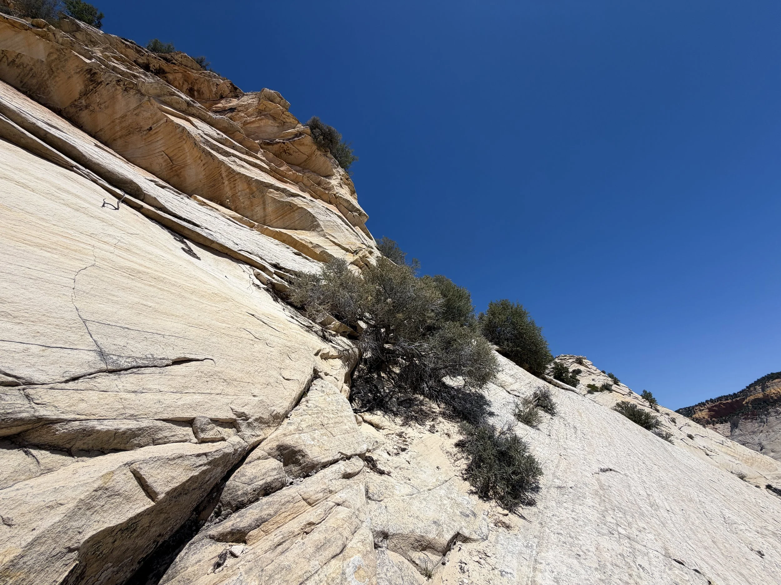 South Ariel Peak Trail Zion National Park Utah