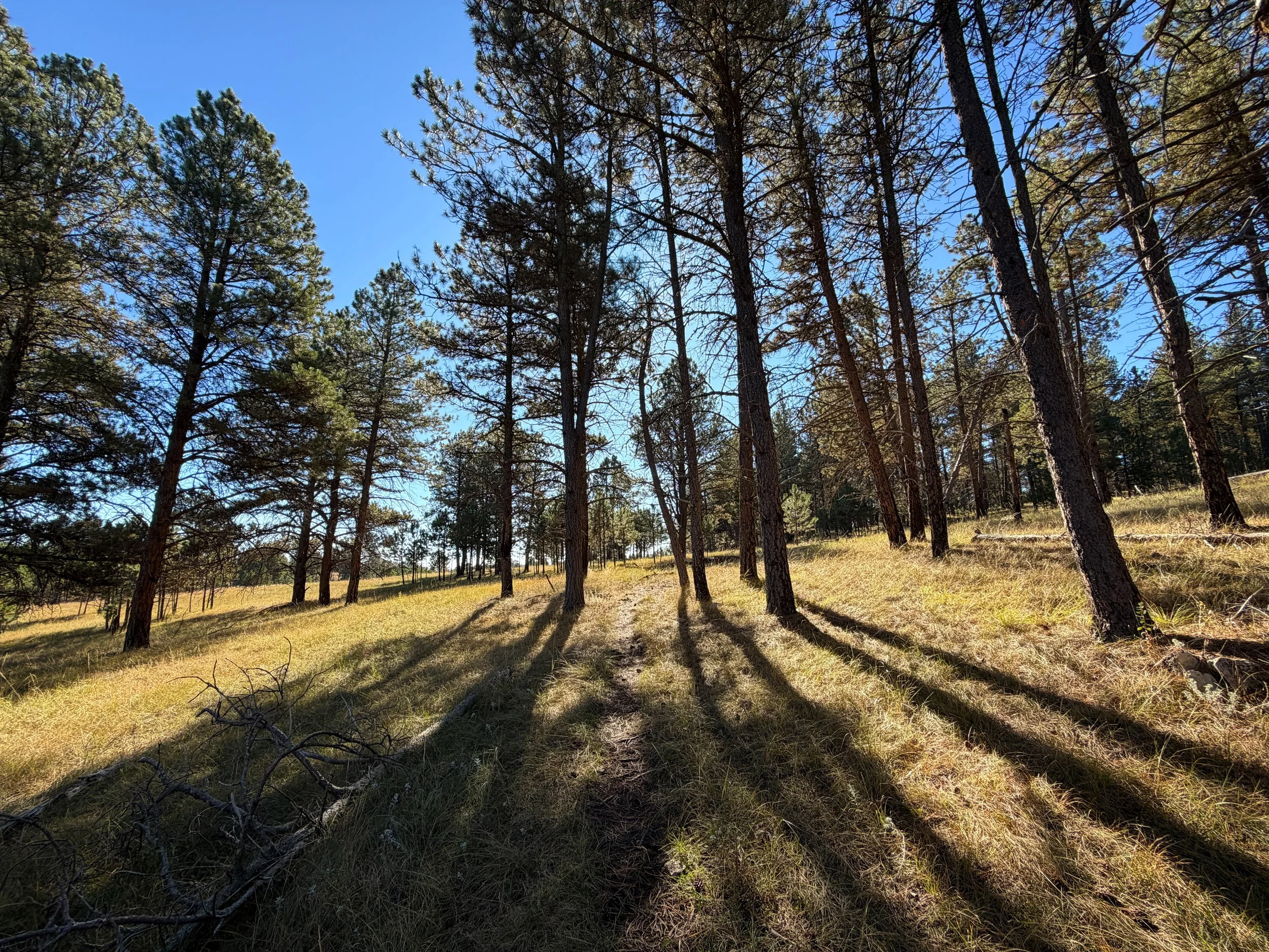 Sanctuary Trail Wind Cave National Park South Dakota