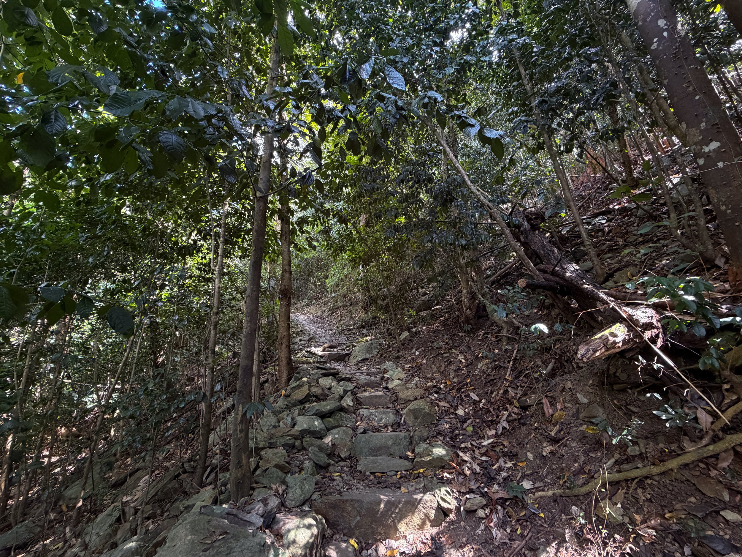 Cinnamon Bay Trail to Centerline Road Virgin Islands National Park
