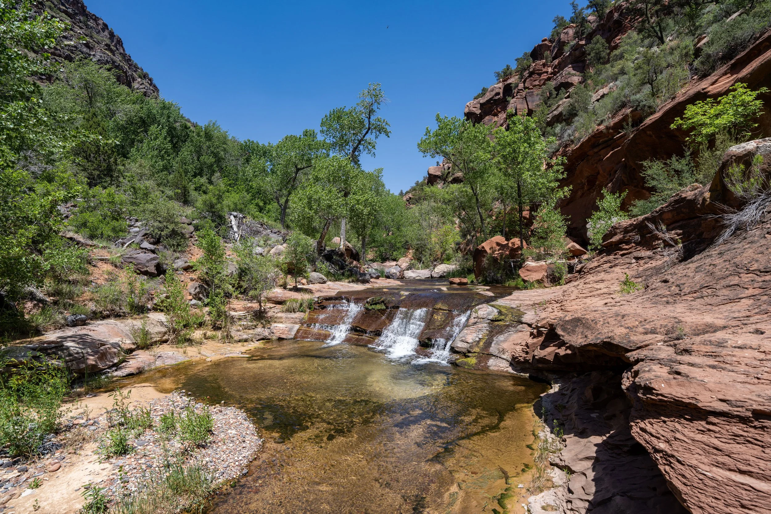 Left Fork Falls Grapevine Trail Zion National Park Utah