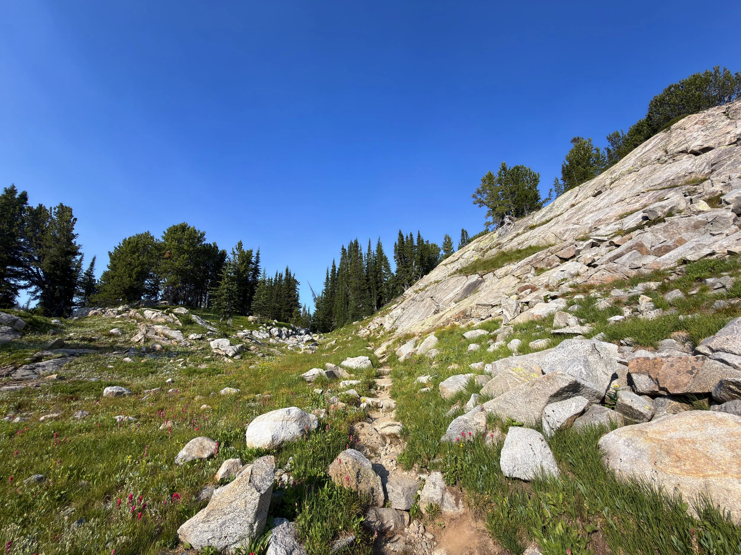 Beaten Path Hike Beartooth Mountains Montana