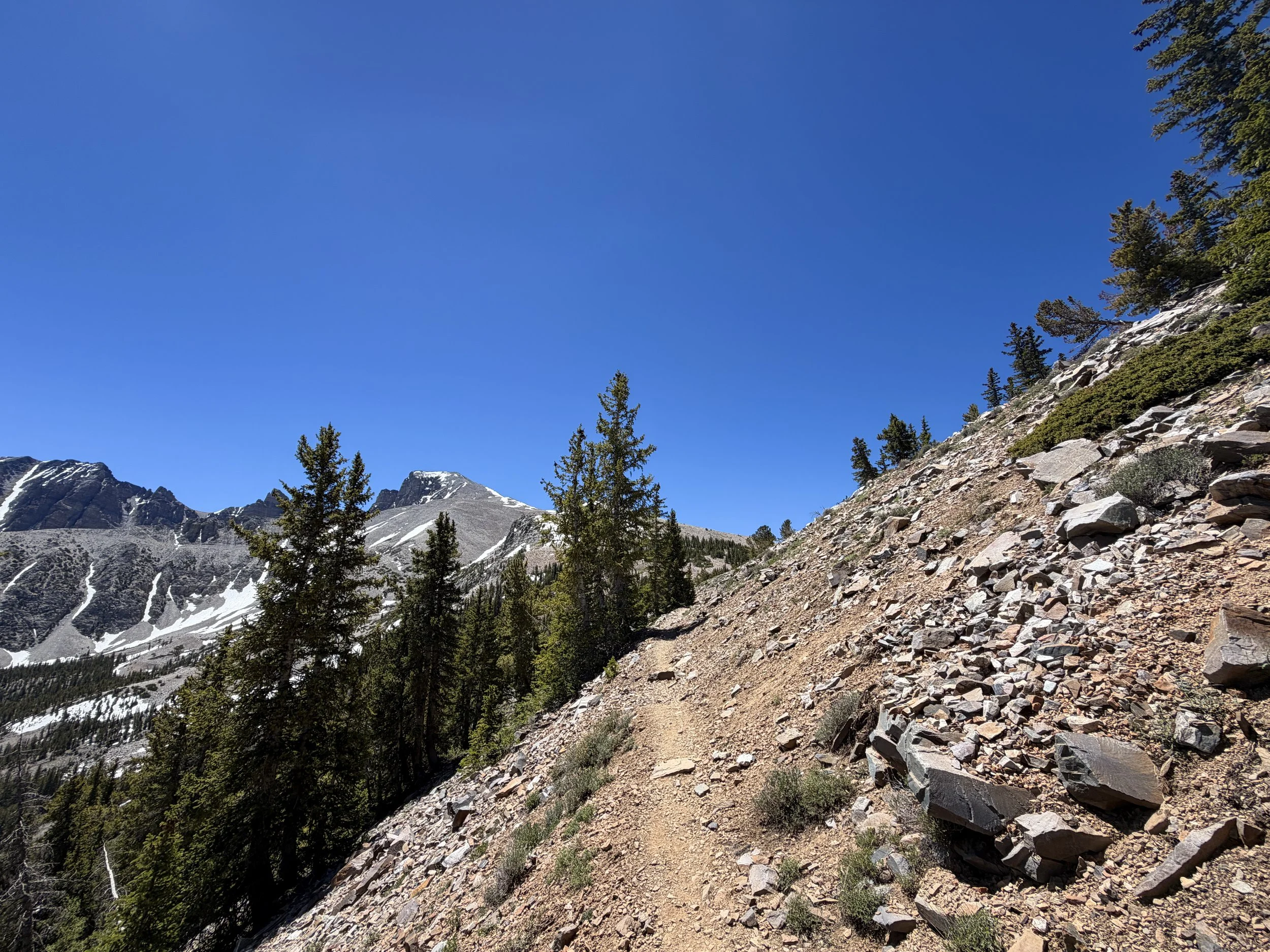 Wheeler Peak Summit Trail Great Basin National Park Nevada