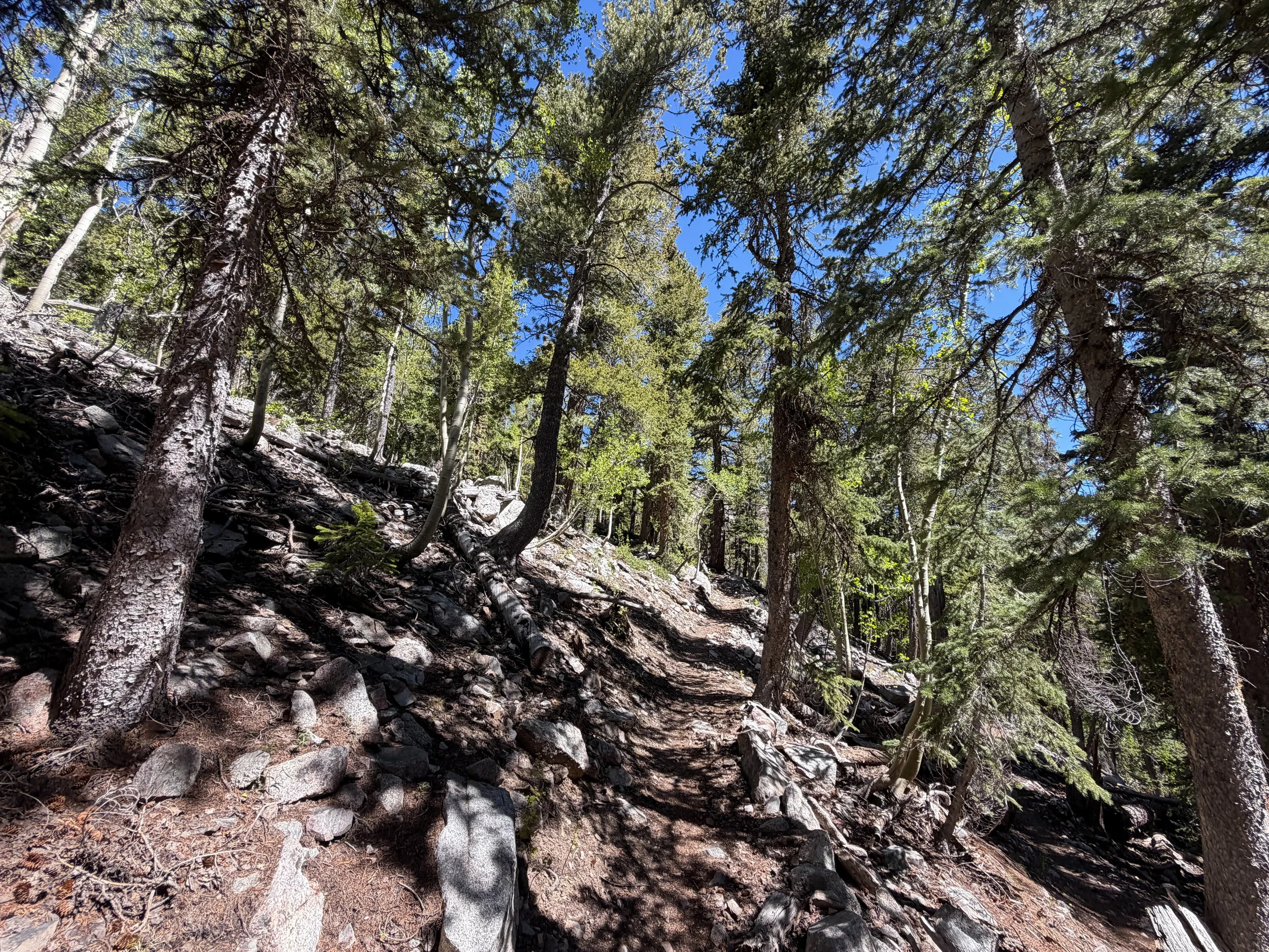 Baker Lake Trail Great Basin National Park Nevada