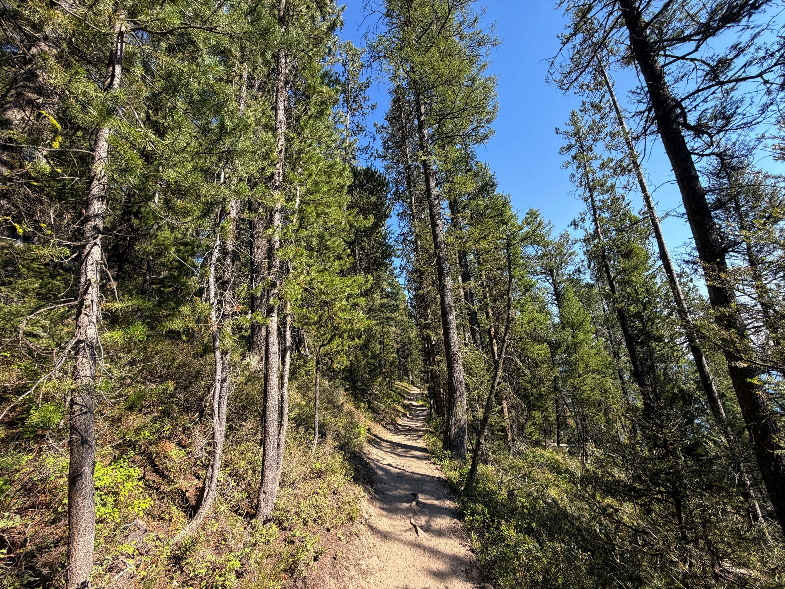Jenny Lake Trail Grand Teton National Park Wyoming