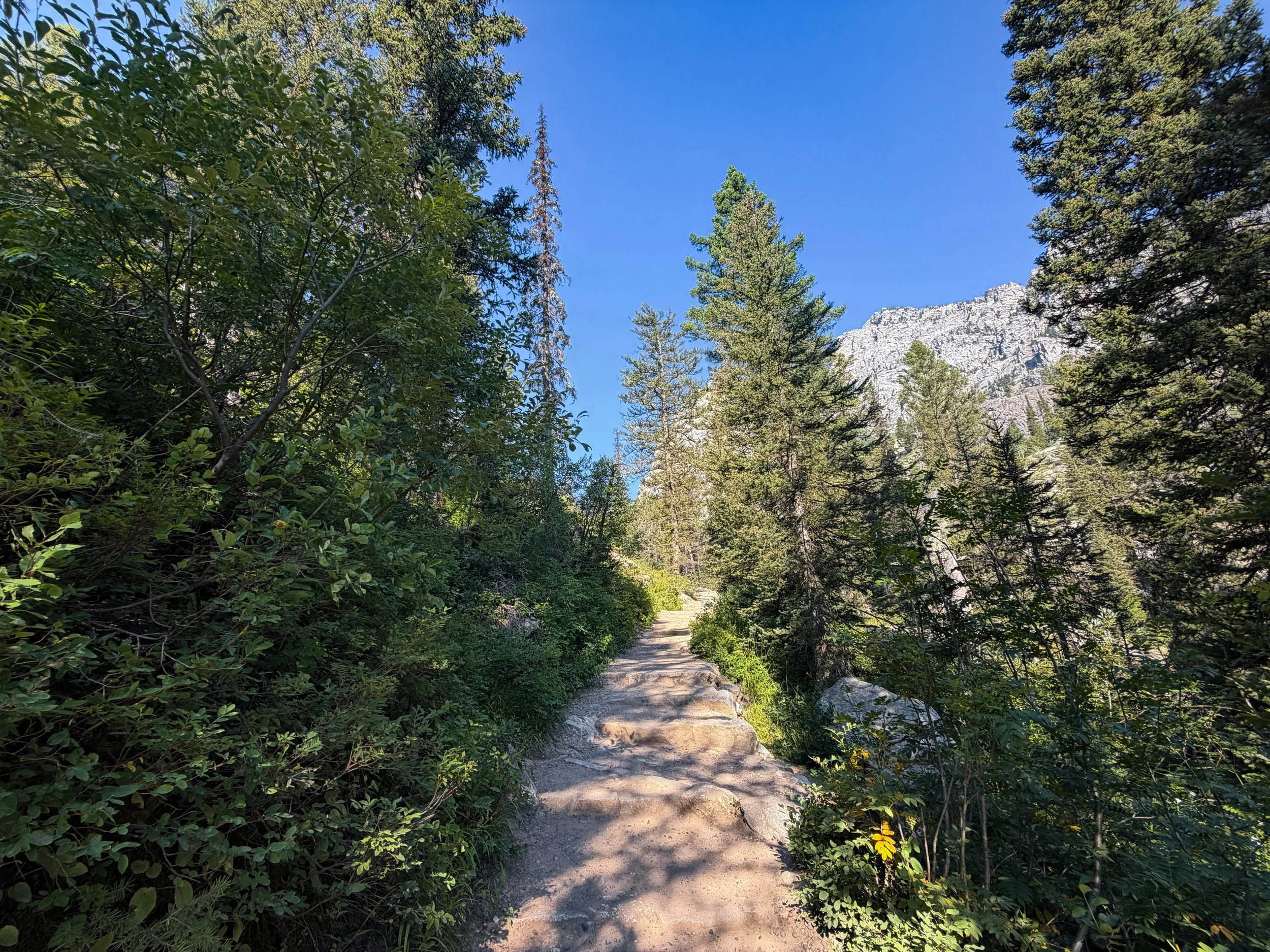 Hidden Falls Trail Grand Teton National Park Wyoming