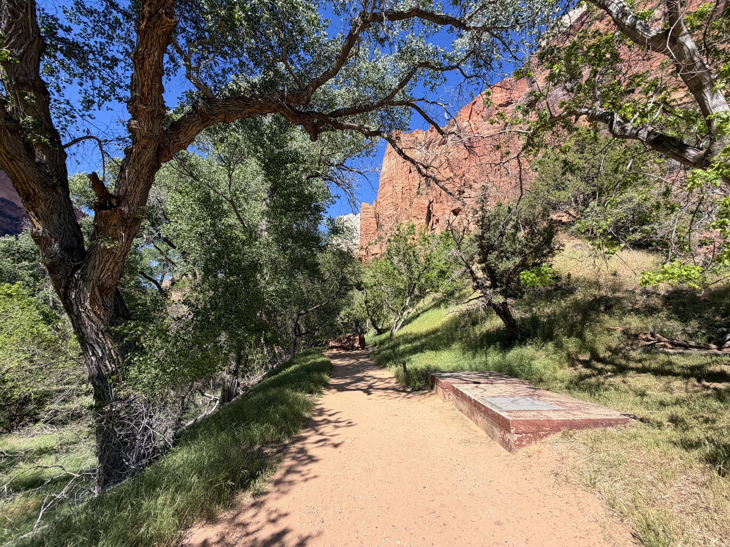 Grotto Trail Zion National Park Utah