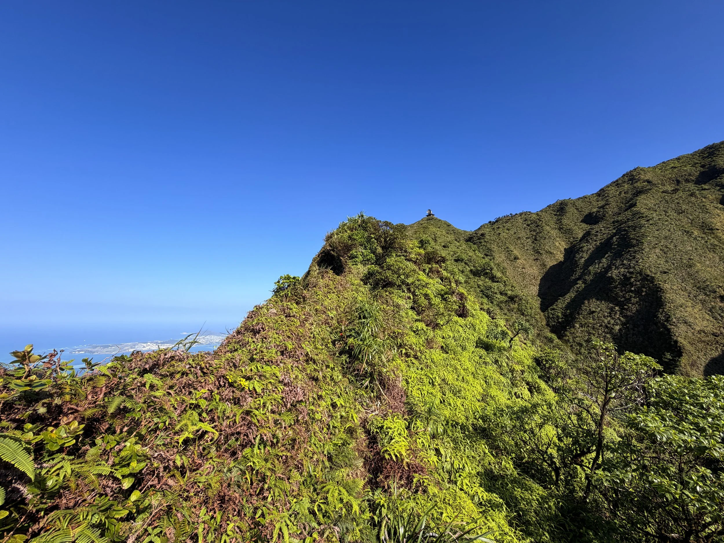 Moanalua Saddle to Stairway to Heaven Koolau Summit Trail Oahu Hawaii